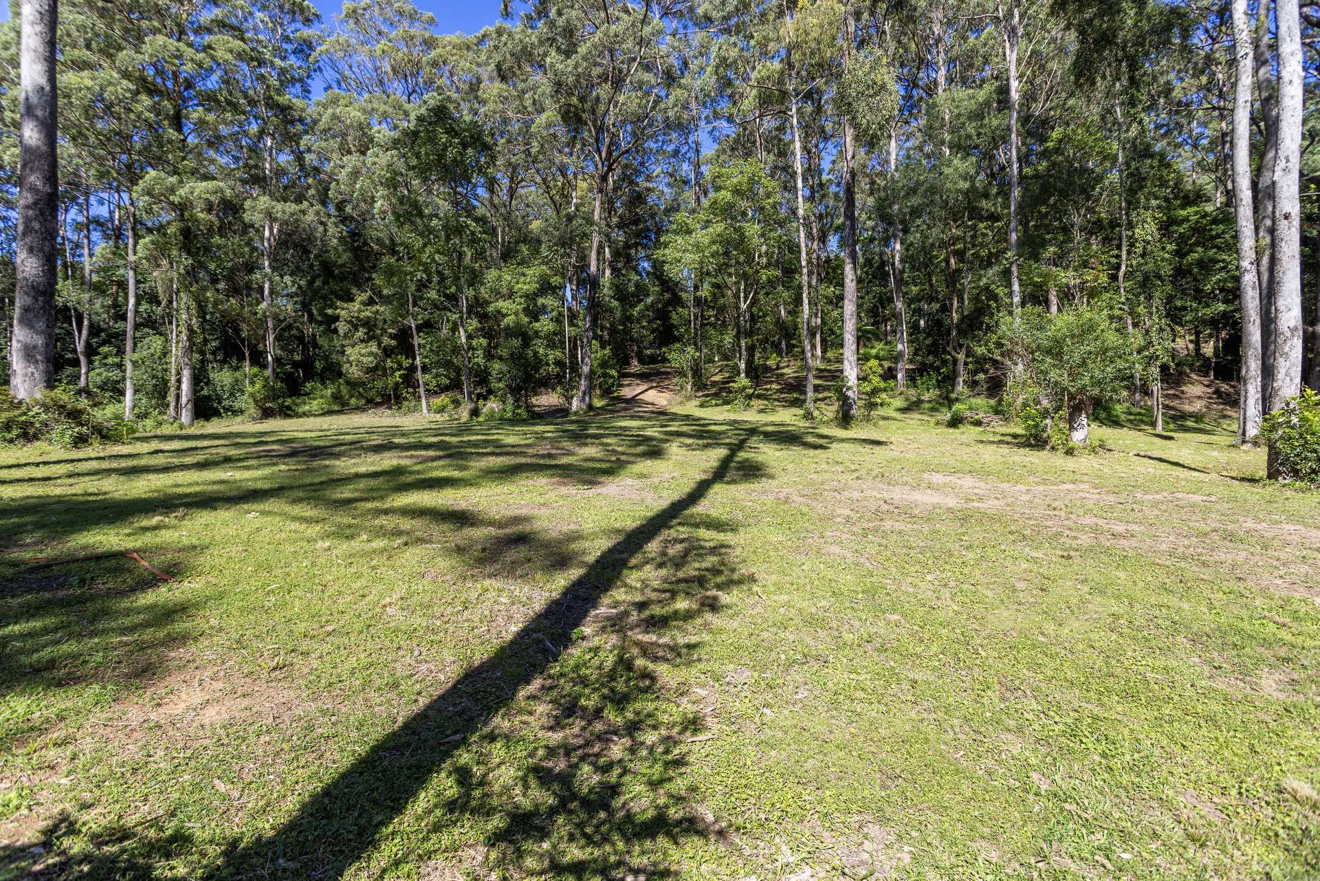 'The Ridge Farm' Lots 22 & 102 Free Selectors Road, Foxground For Sale by Farmbuy.com - image 13