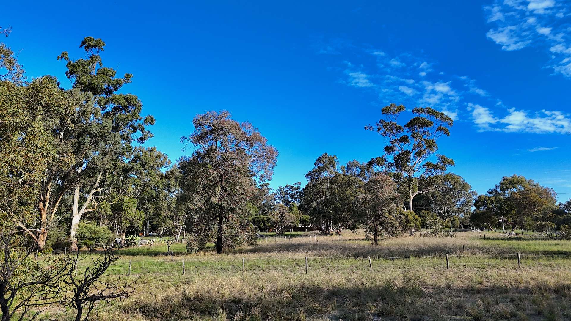 11 Lee-steere Drive, Mariginiup For Sale by Farmbuy.com - image 2