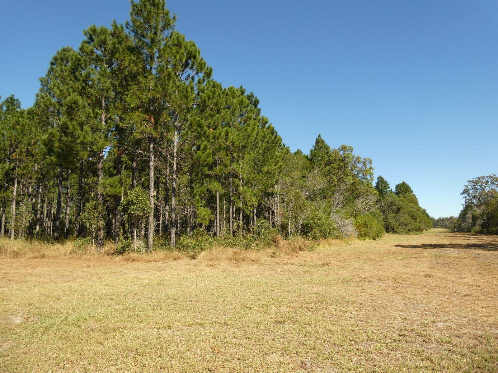 2736 Goodwood Road, Goodwood For Sale by Farmbuy.com - image 9