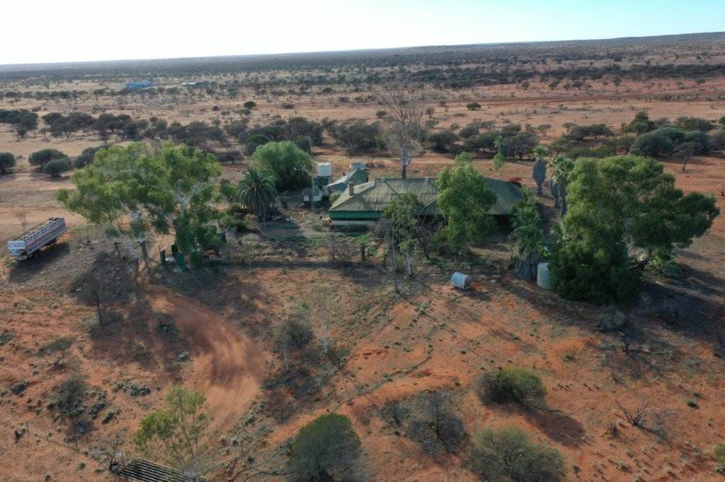 Jingemarra Station, North Road, Yalgoo For Sale by Farmbuy.com - image 3