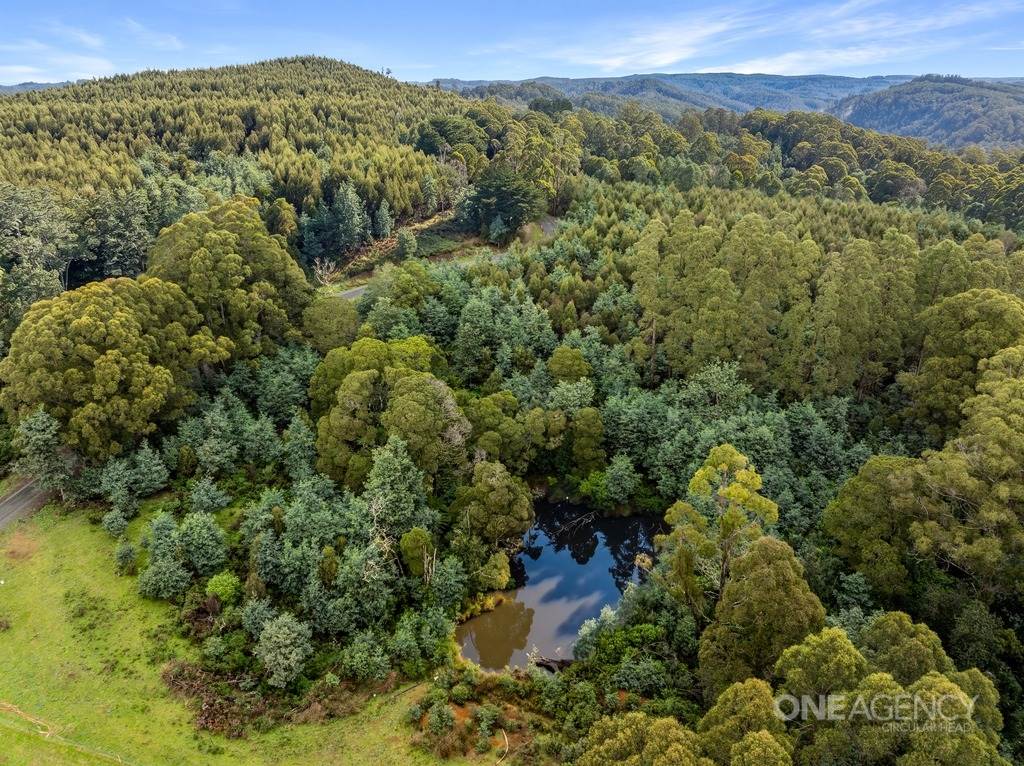 211 West Calder Road, Calder For Sale by Farmbuy.com - image 25
