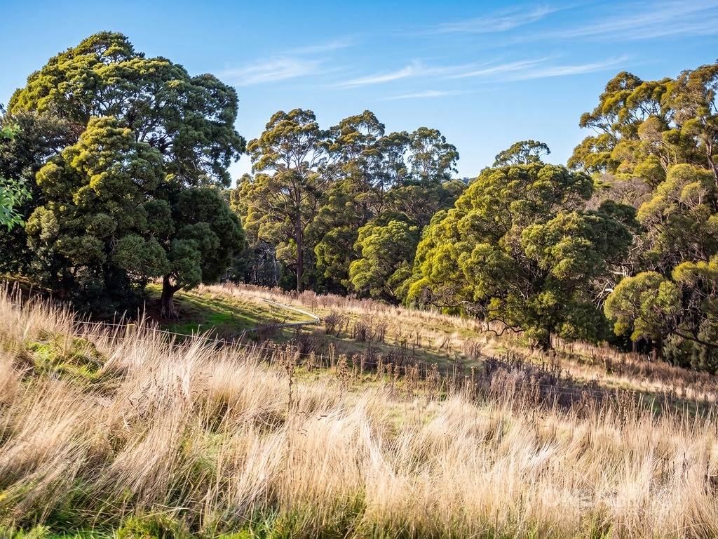 211 West Calder Road, Calder For Sale by Farmbuy.com - image 33