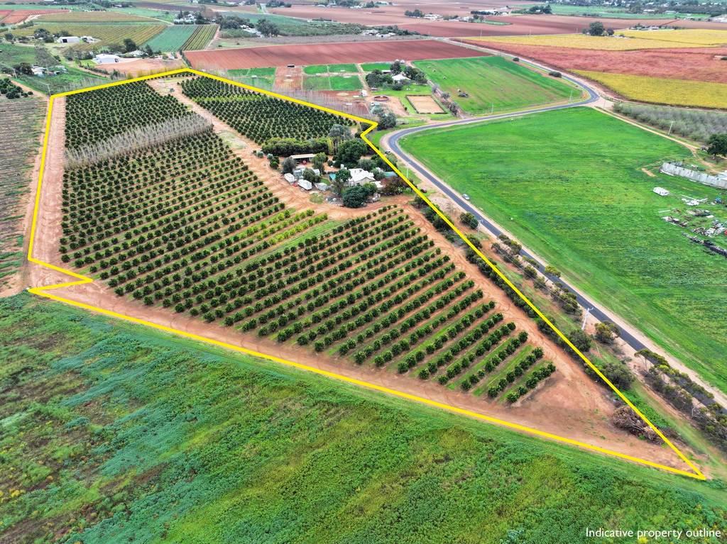 30 Merrijig Avenue, Red Cliffs VIC 3496