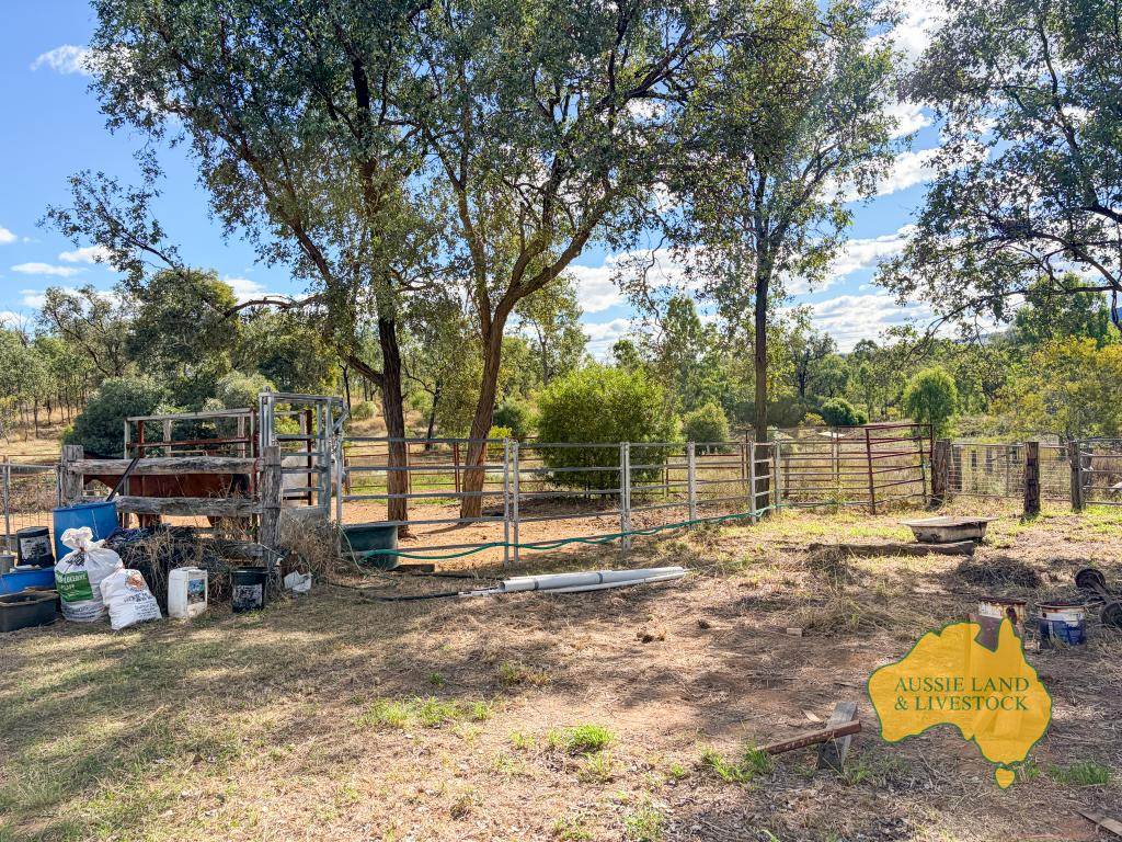 108 CATTLE CREEK ROAD, Mundowran For Sale by Farmbuy.com - image 23