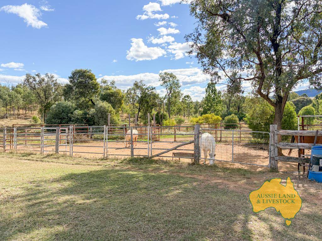 108 CATTLE CREEK ROAD, Mundowran For Sale by Farmbuy.com - image 6