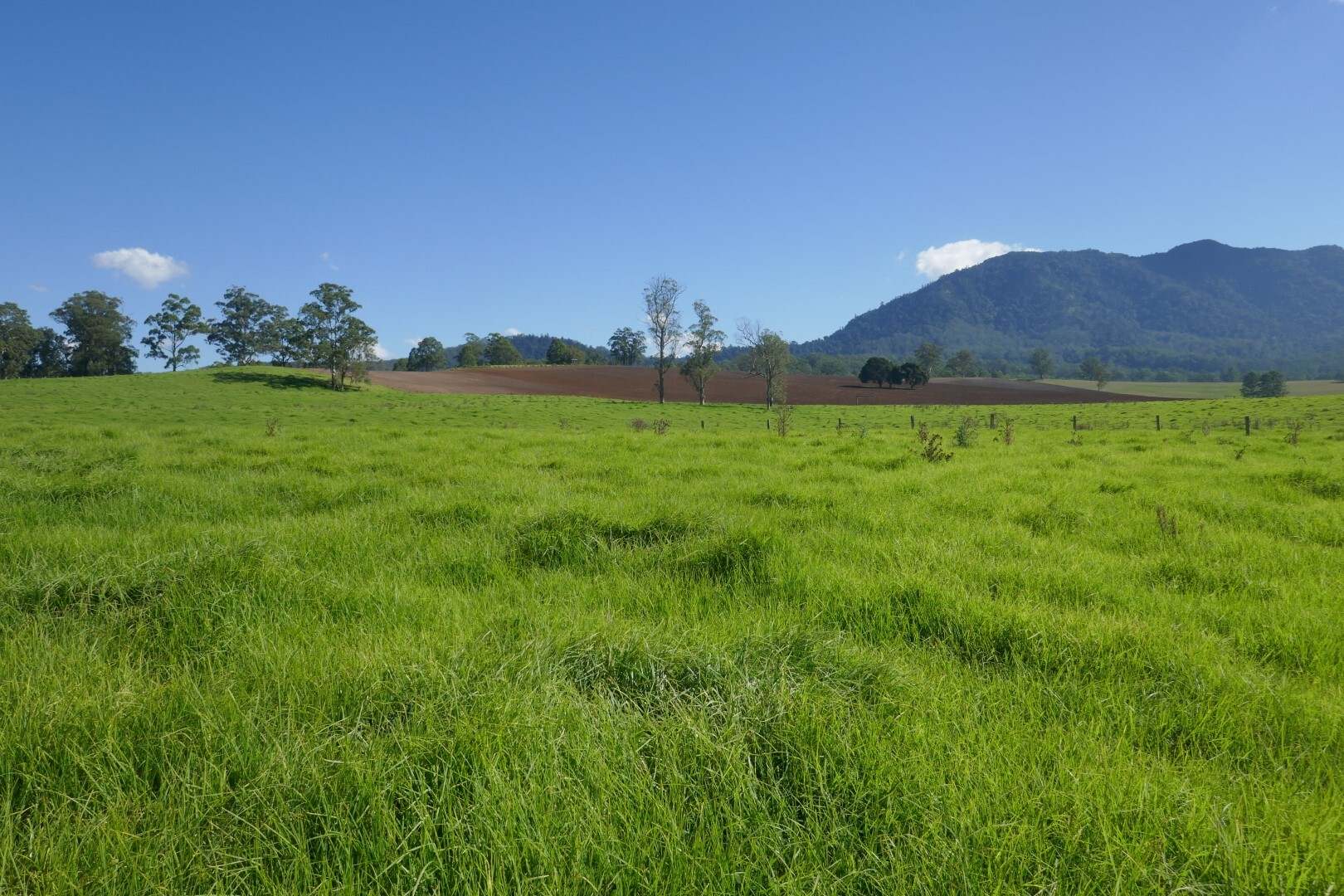 Woodenbong For Sale by Farmbuy.com - image 28