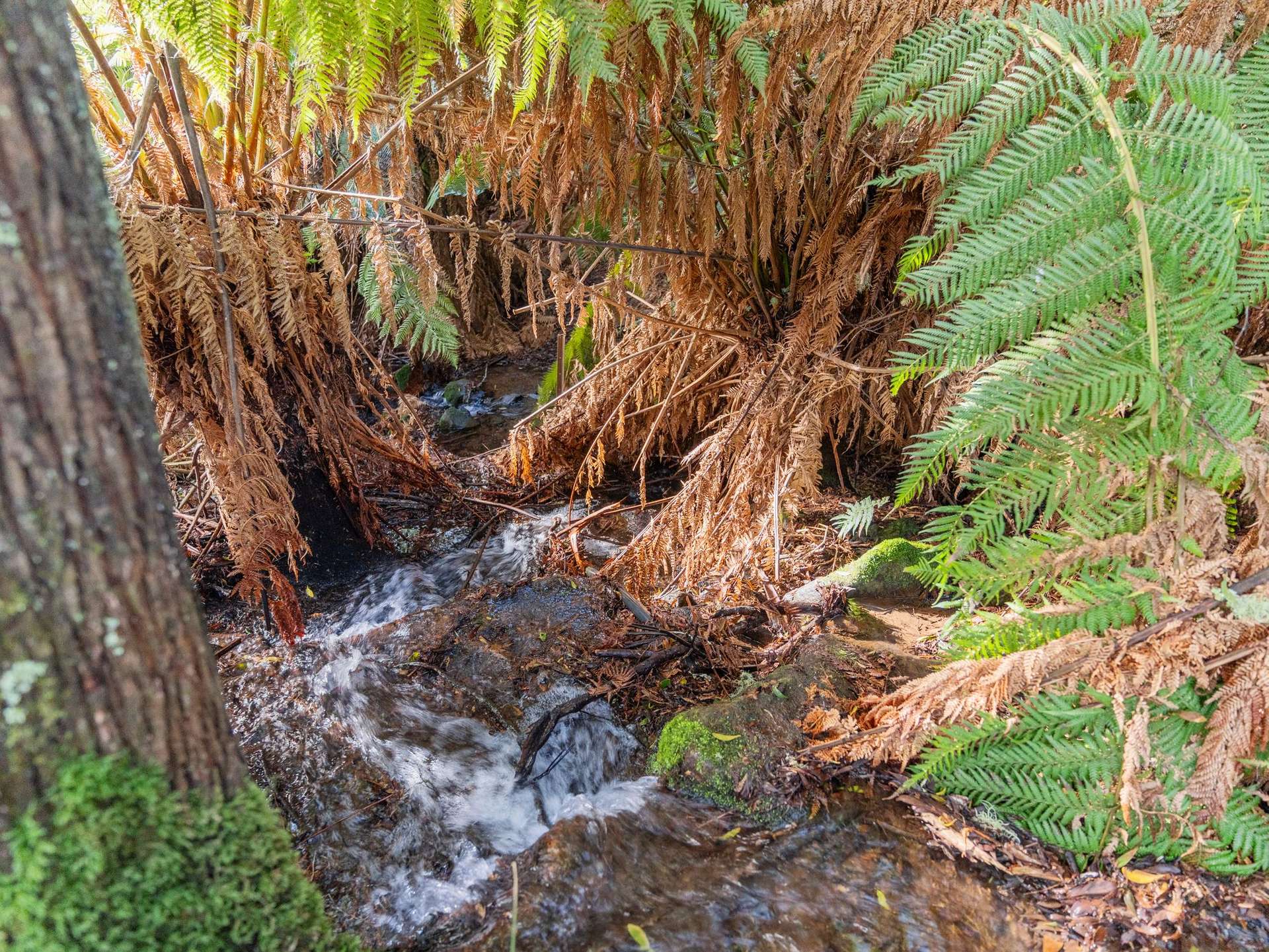549 Cradle Mountain Road, Erriba For Sale by Farmbuy.com - image 22