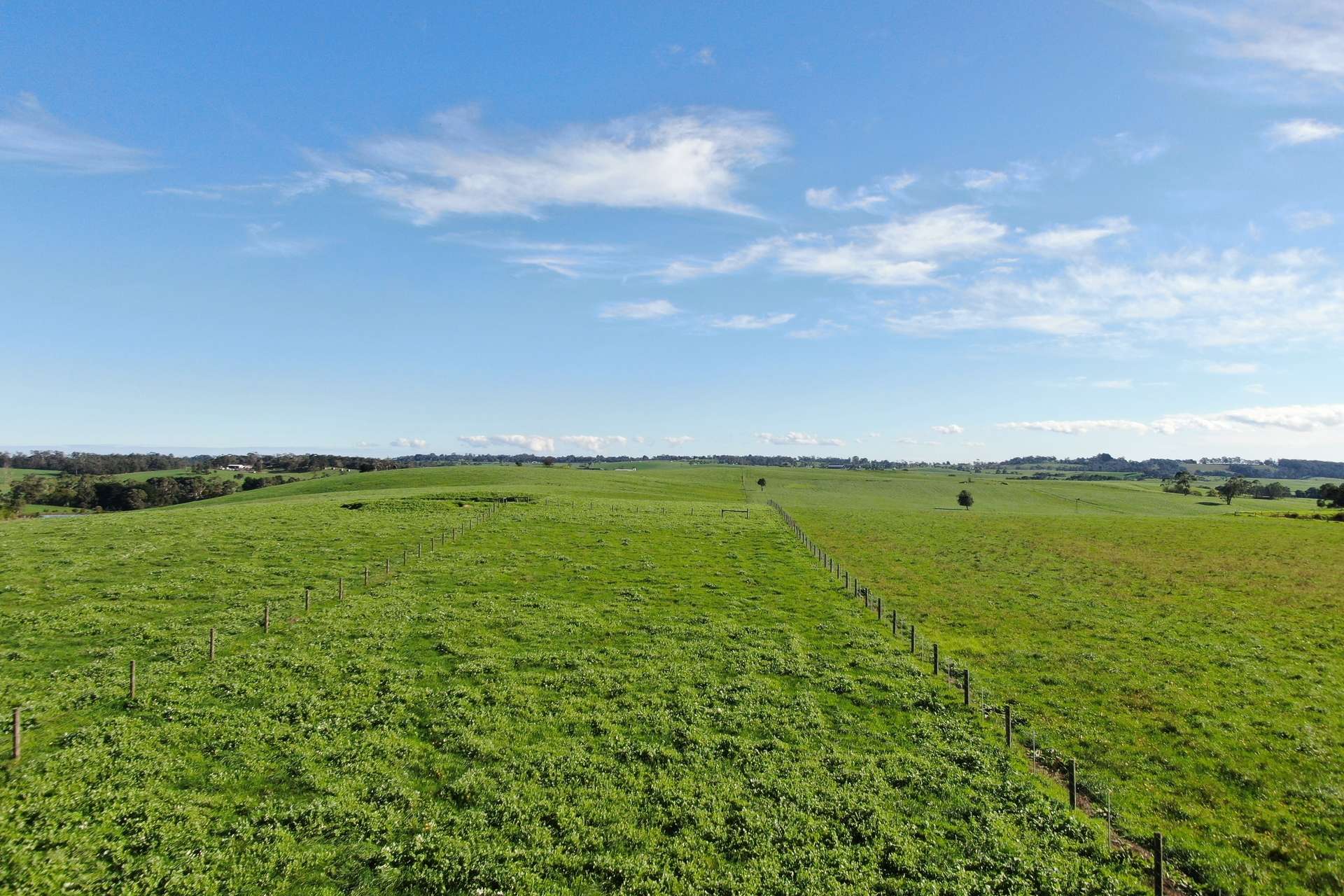 900 Mount Lyall Road, Nyora For Sale by Farmbuy.com - image 7