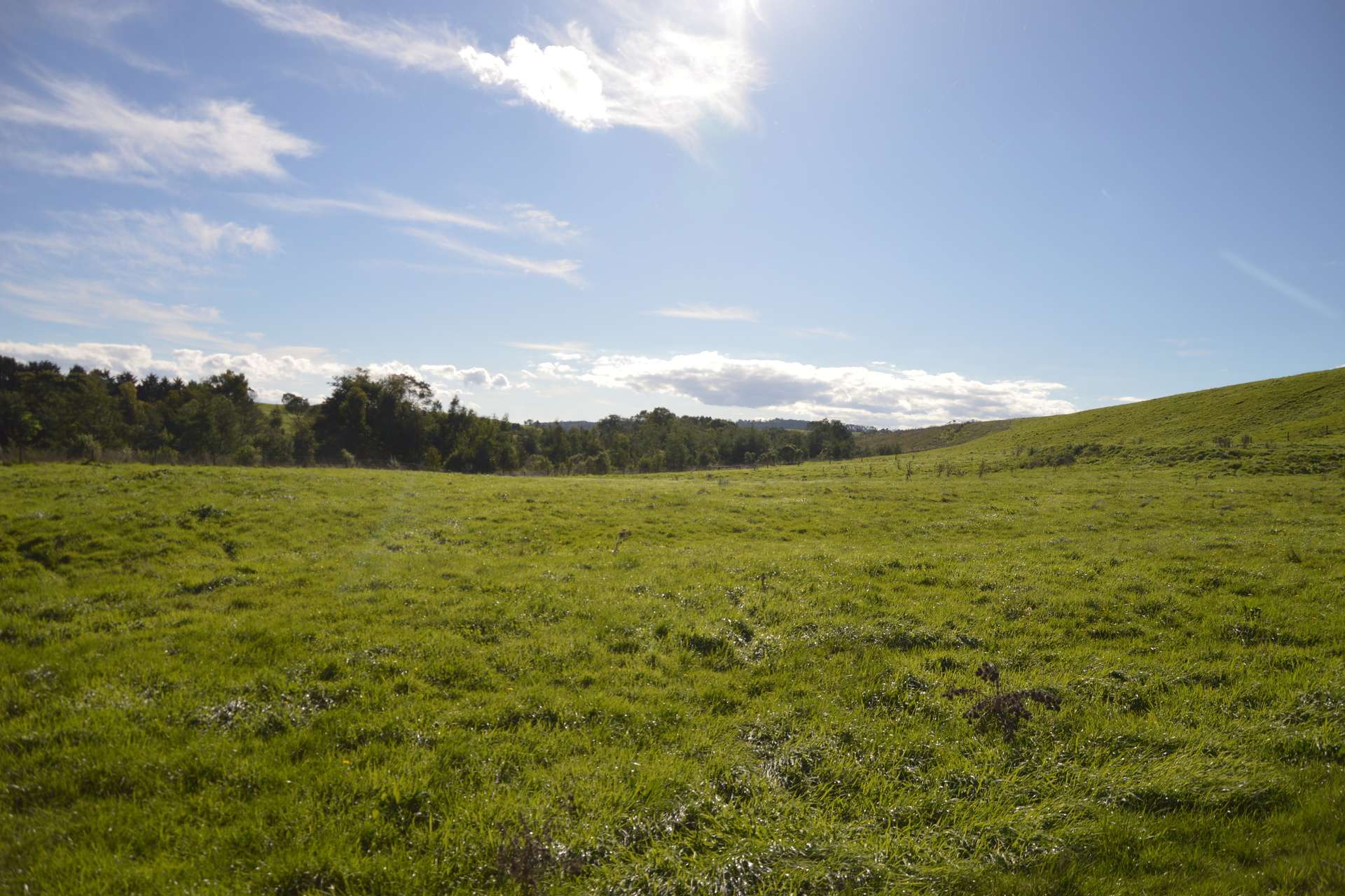 900 Mount Lyall Road, Nyora For Sale by Farmbuy.com - image 2