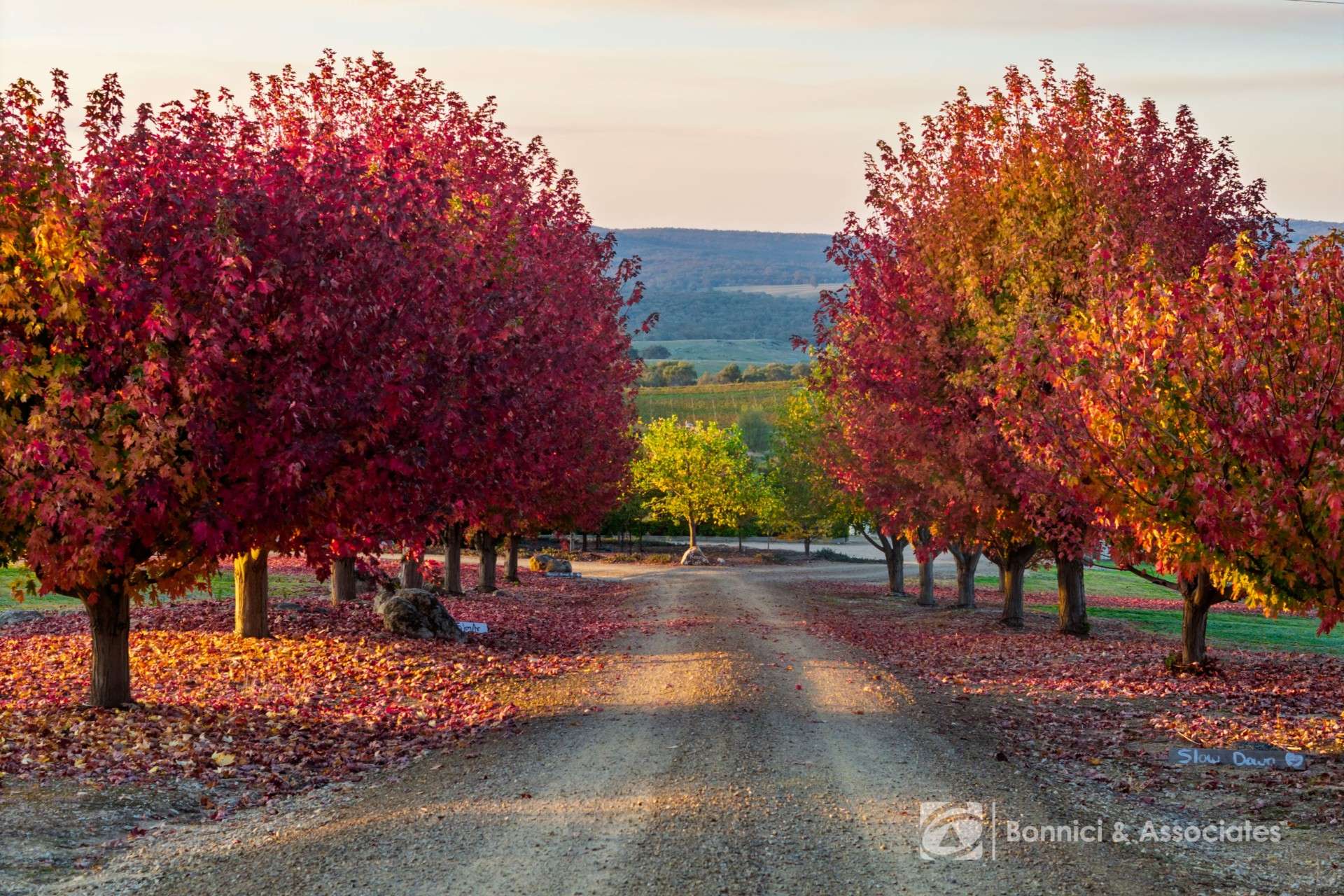 Beechworth For Sale by Farmbuy.com - image 20