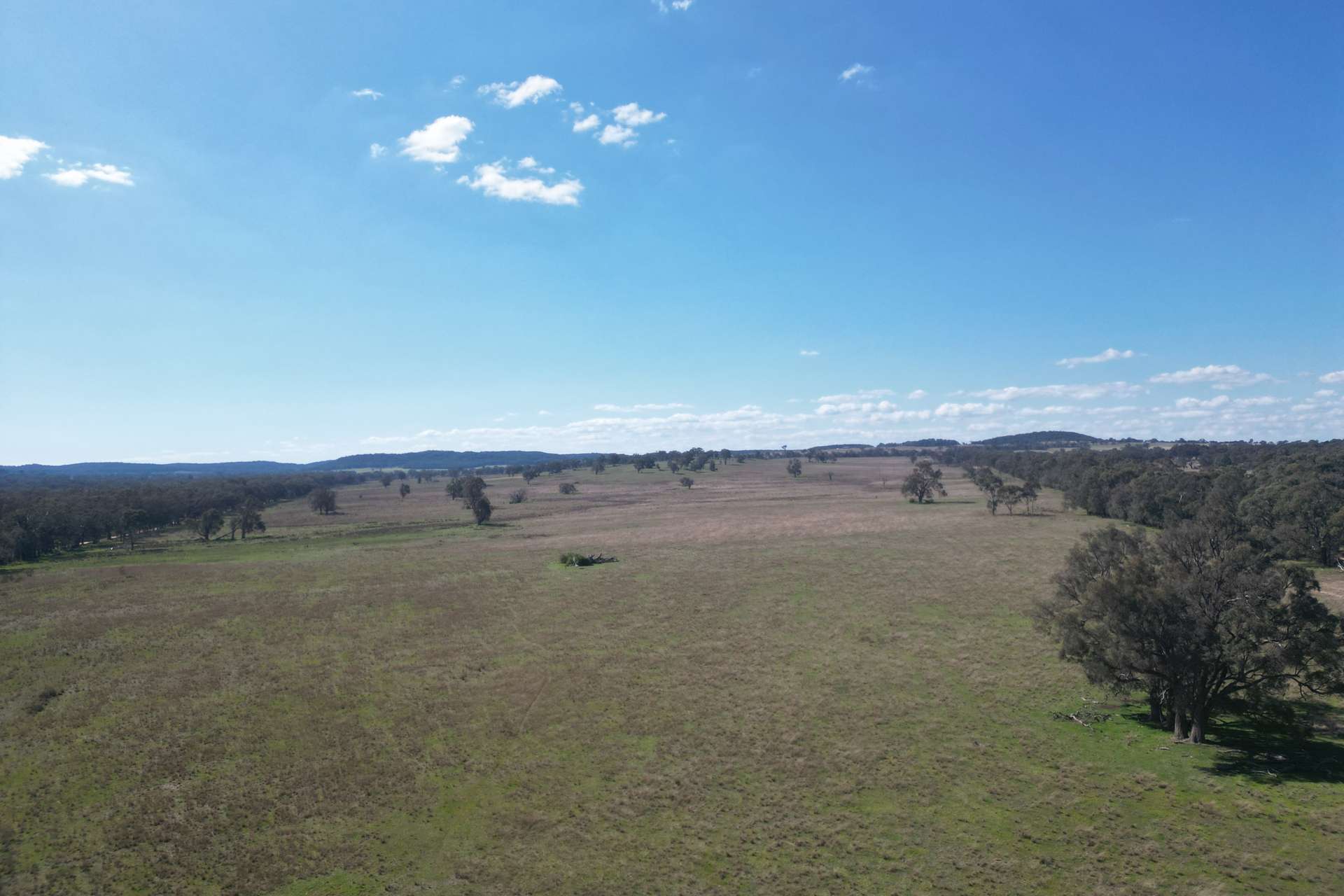 1442 Barneys Reef Road, Gulgong For Sale by Farmbuy.com - image 13