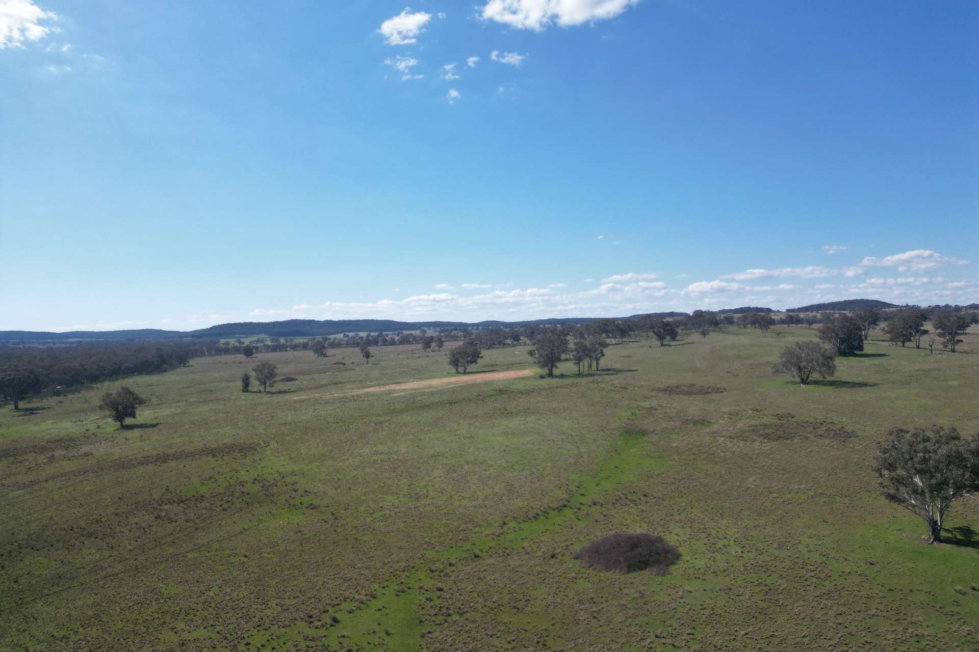 1442 Barneys Reef Road, Gulgong For Sale by Farmbuy.com - image 7