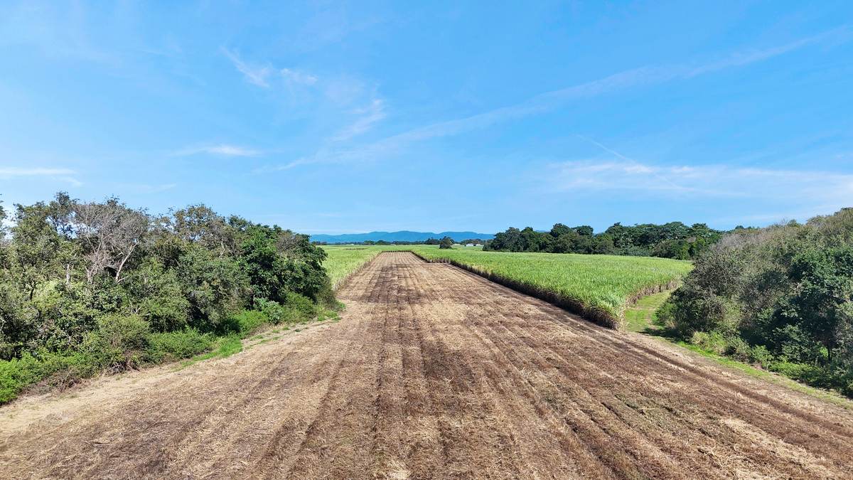 Lot 2 & 16,  Weigands Road, Alexandra For Sale by Farmbuy.com - image 13
