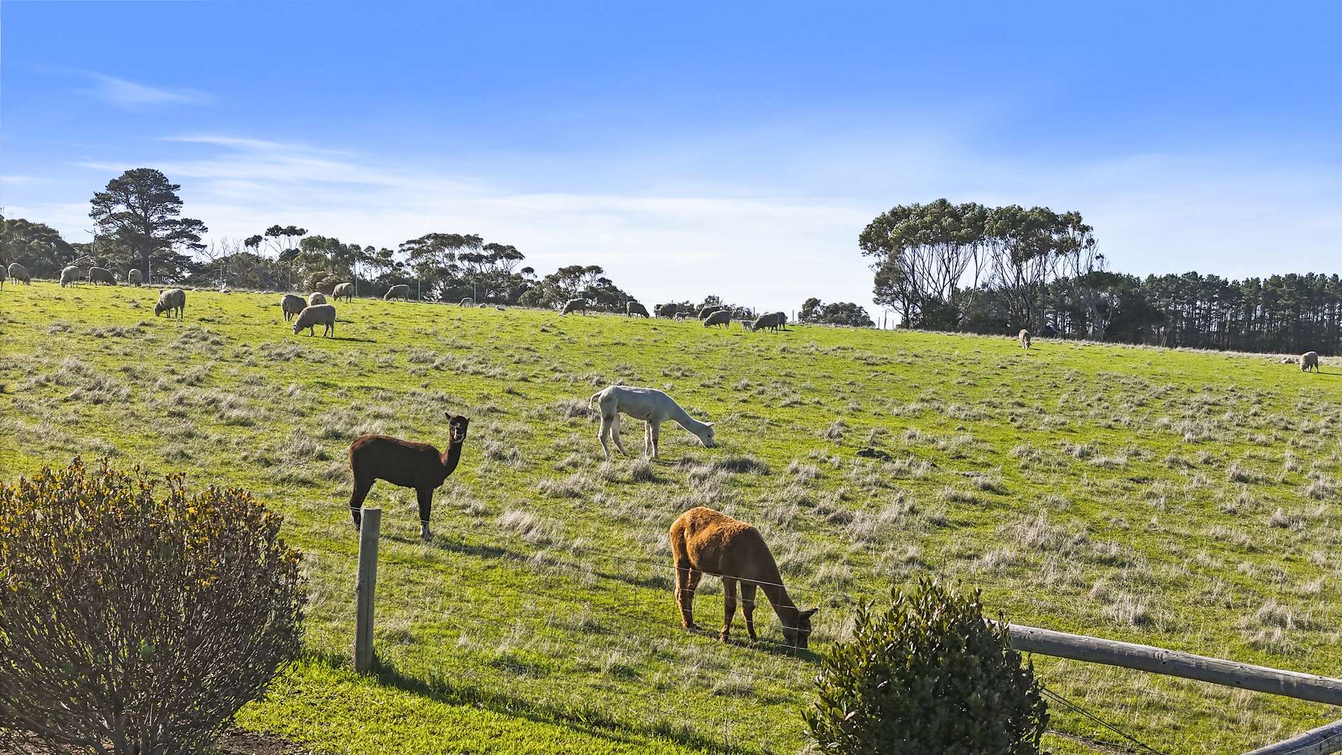 1341 Waitpinga Road, Waitpinga For Sale by Farmbuy.com - image 22