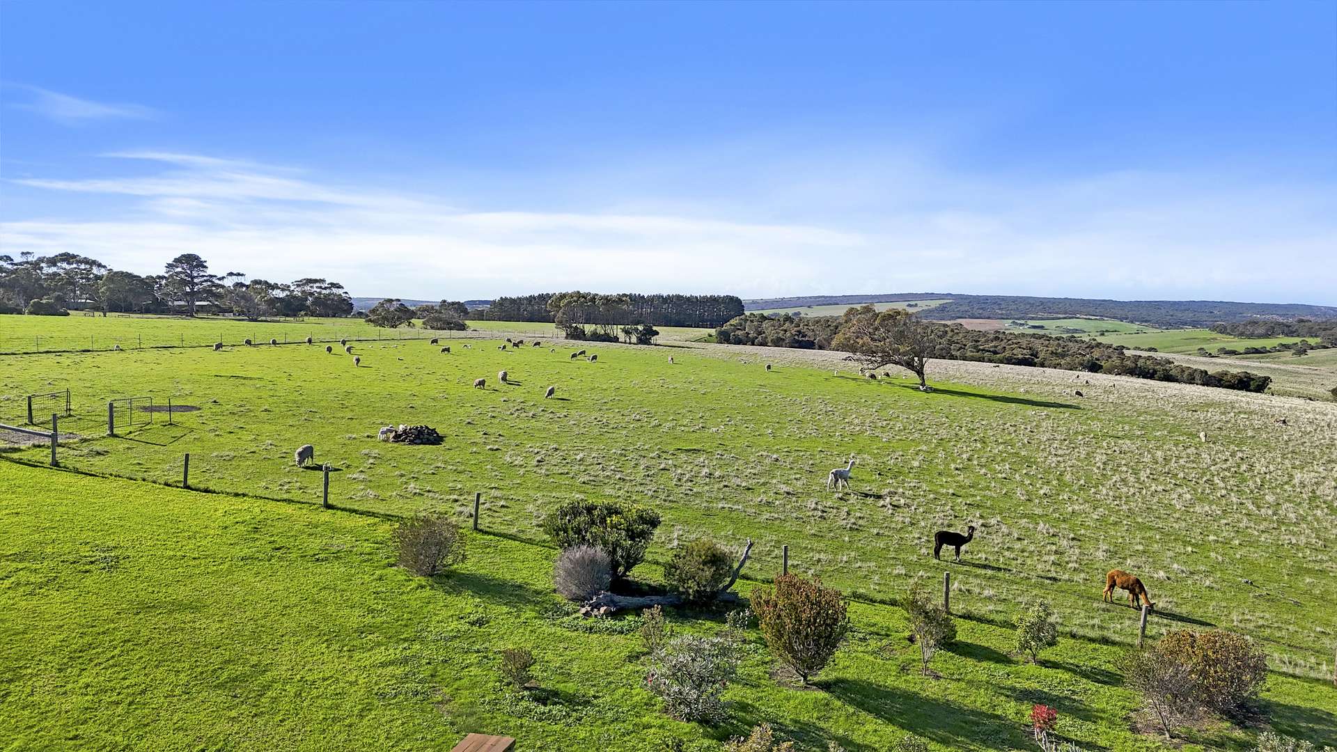1341 Waitpinga Road, Waitpinga For Sale by Farmbuy.com - image 24