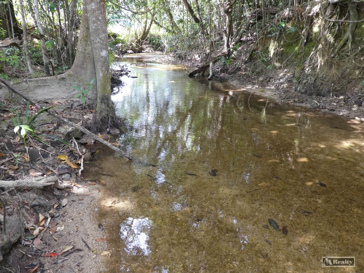 Cnr Silkwood-Japoon Rd & Wooloogin Rd, Japoonvale For Sale by Farmbuy.com - image 3