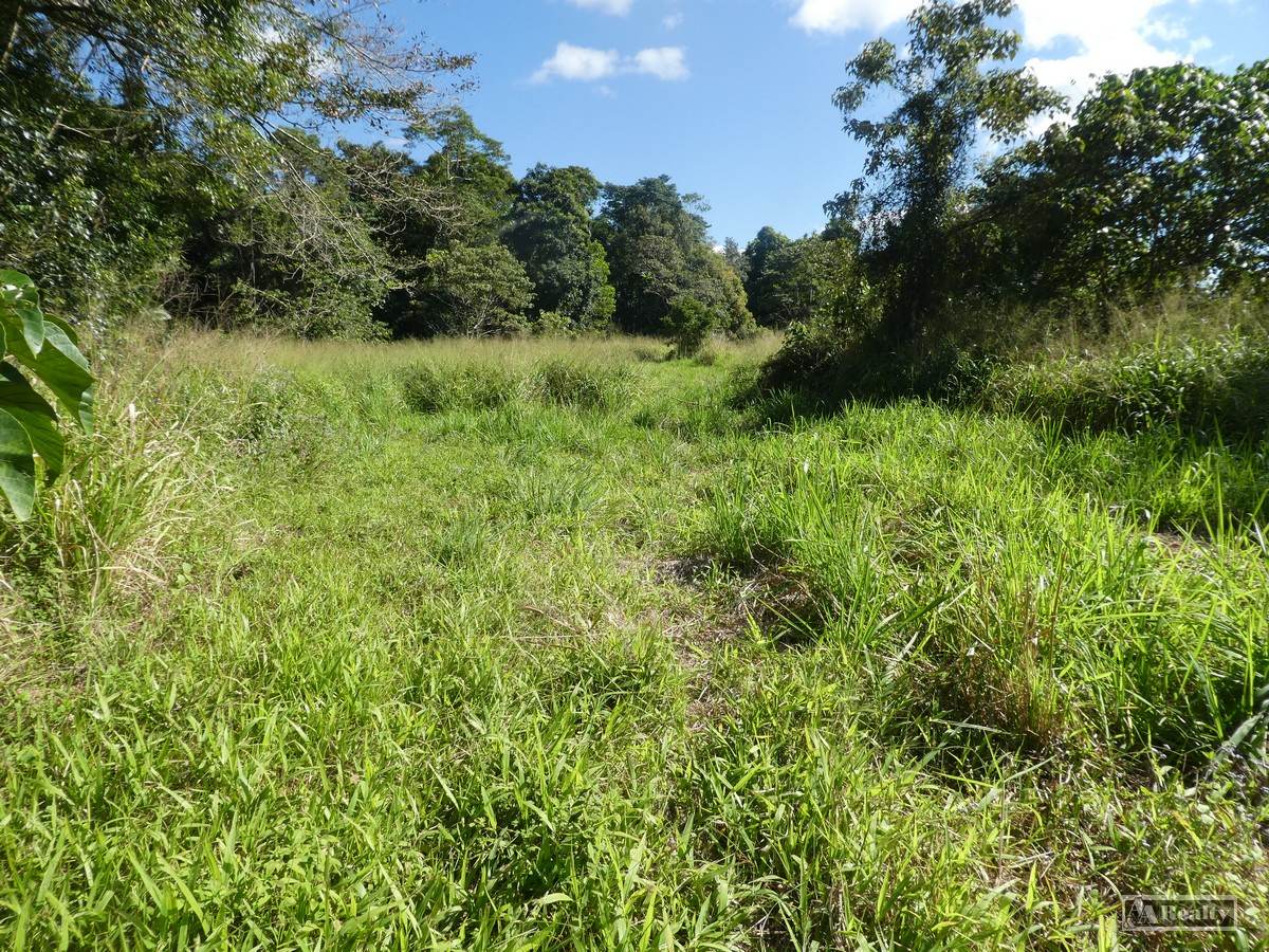 Cnr Silkwood-Japoon Rd & Wooloogin Rd, Japoonvale For Sale by Farmbuy.com - image 4