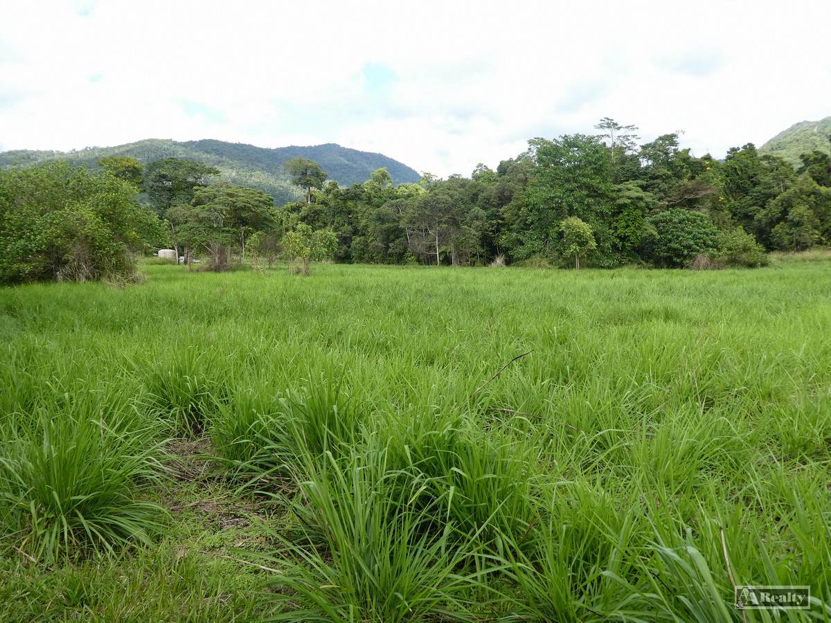 Cnr Silkwood-Japoon Rd & Wooloogin Rd, Japoonvale For Sale by Farmbuy.com - image 8