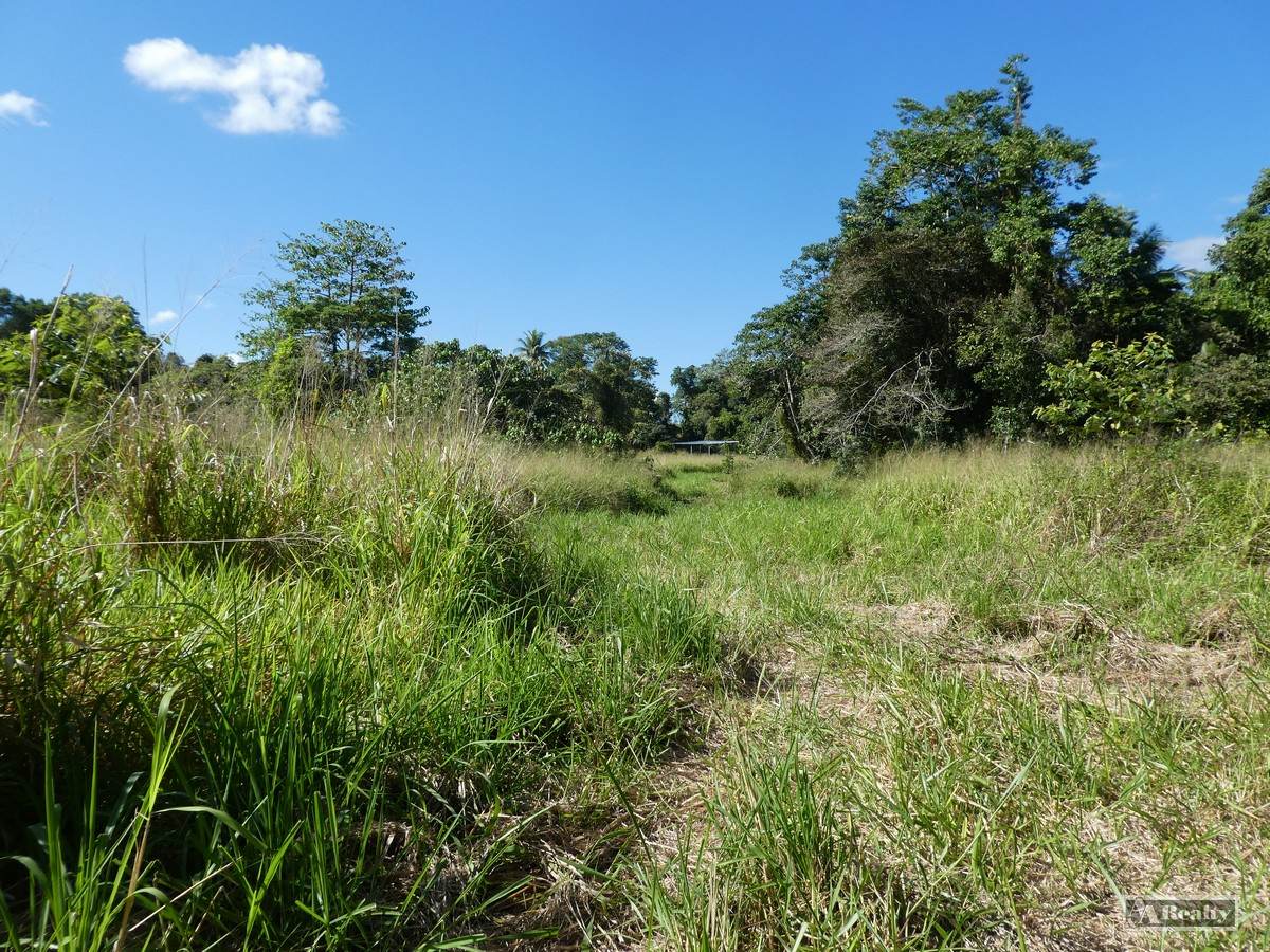 Cnr Silkwood-Japoon Rd & Wooloogin Rd, Japoonvale For Sale by Farmbuy.com - image 4