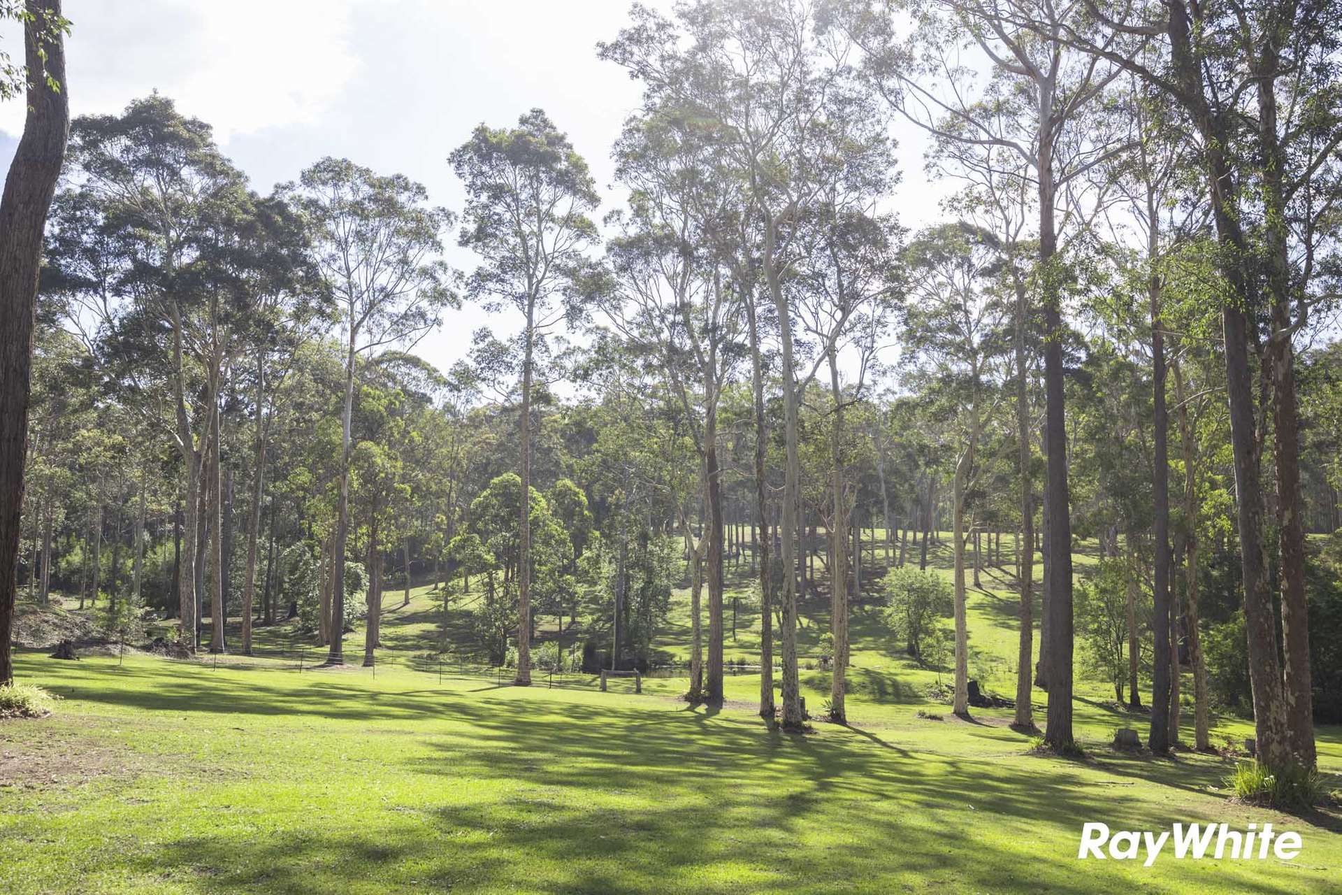82 Jack Reid Road, Termeil For Sale by Farmbuy.com - image 35