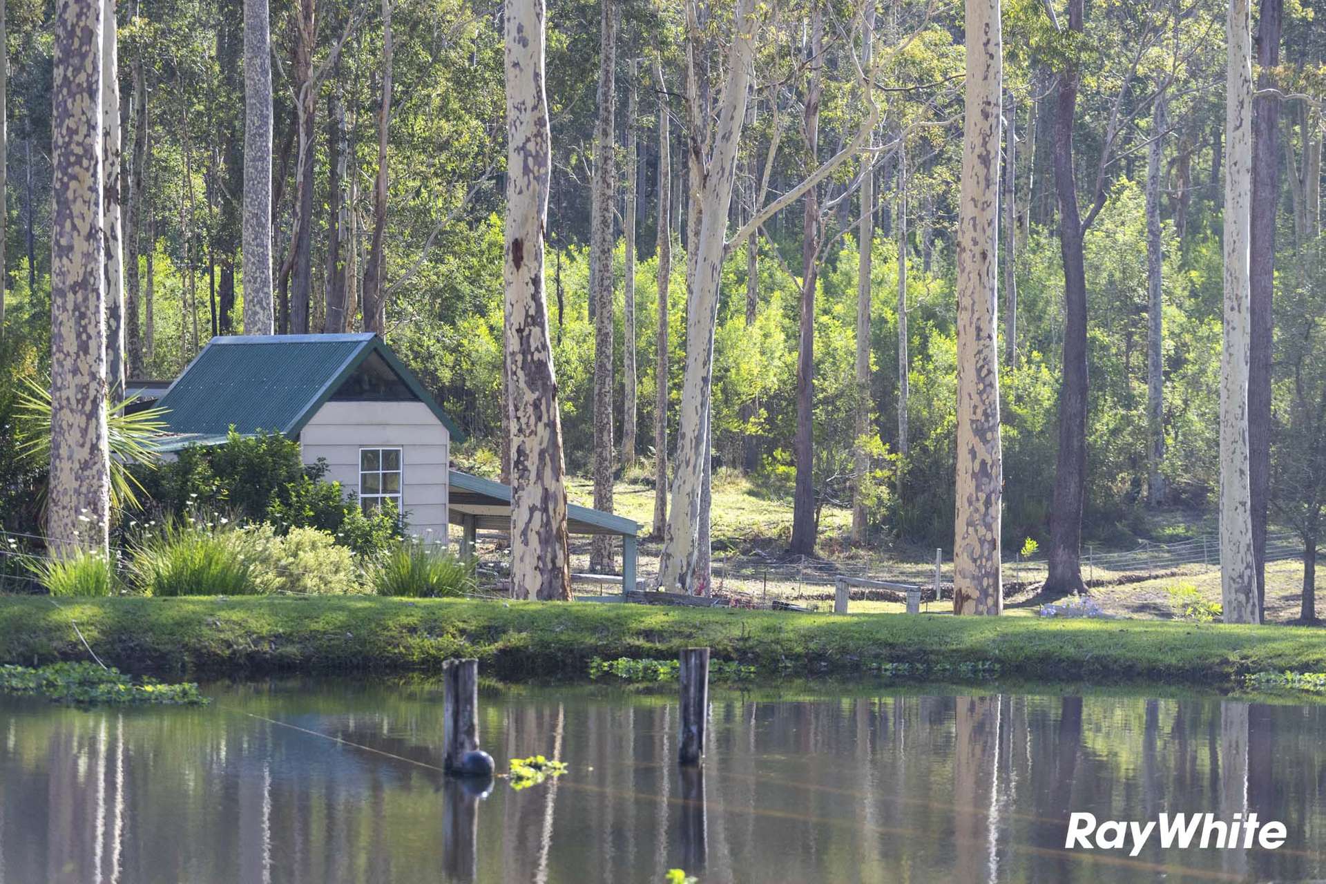 82 Jack Reid Road, Termeil For Sale by Farmbuy.com - image 29
