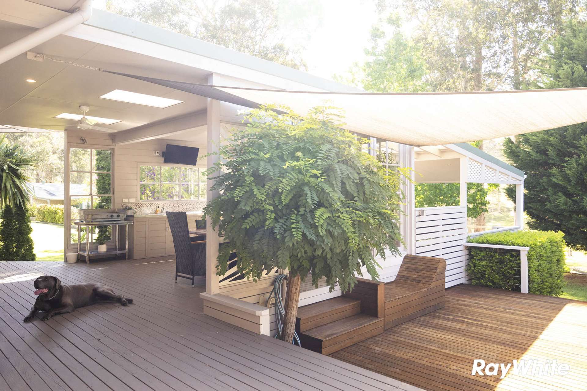 82 Jack Reid Road, Termeil For Sale by Farmbuy.com - image 27