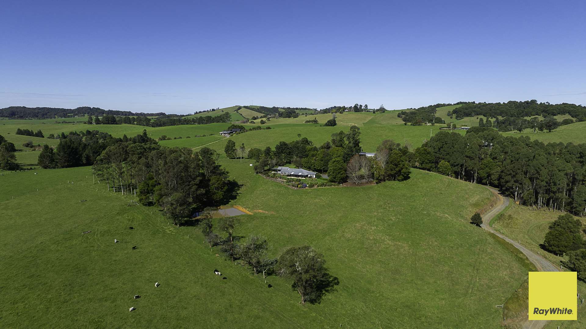 511 Whisky Creek Road, Dorrigo For Sale by Farmbuy.com - image 20