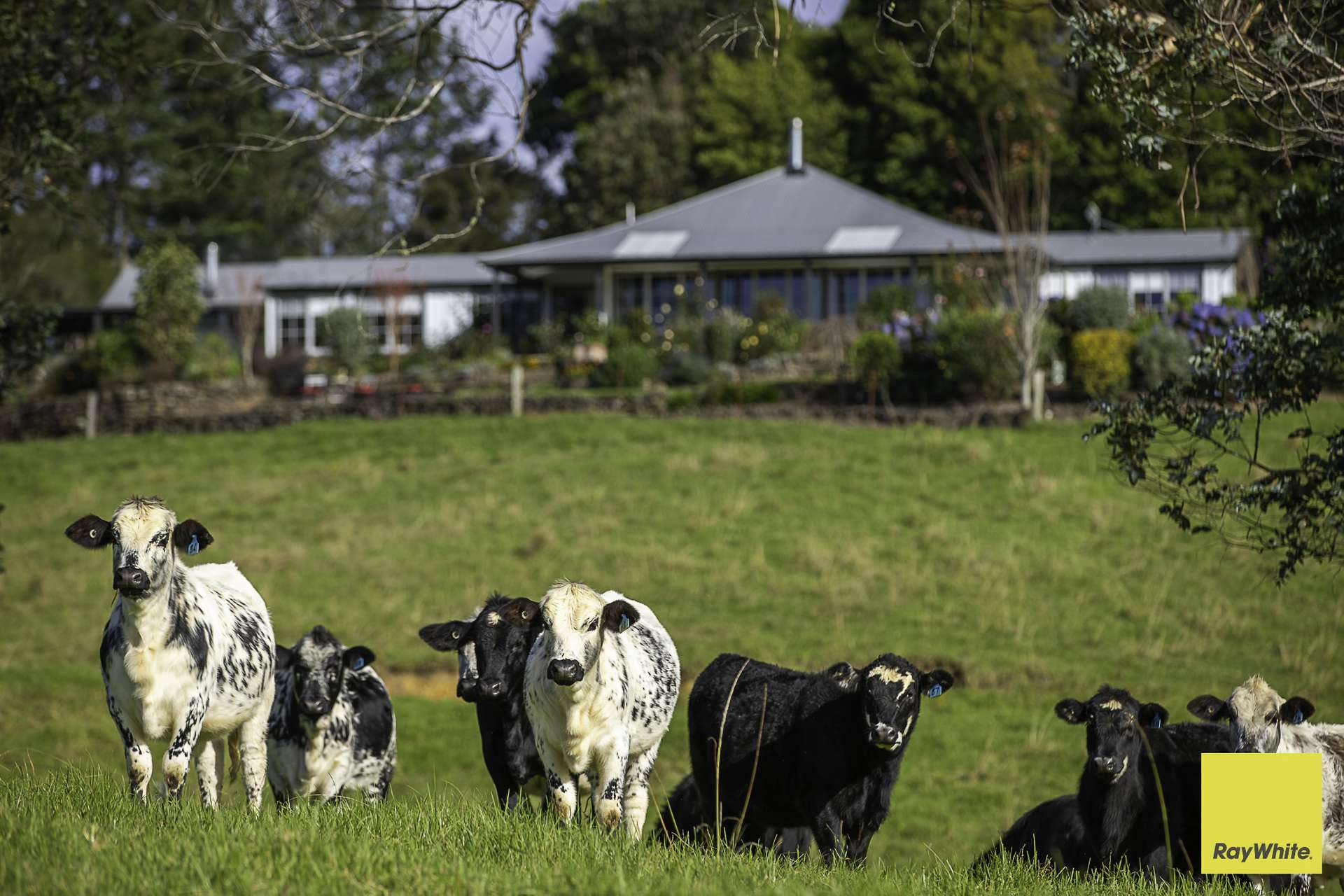 511 Whisky Creek Road, Dorrigo For Sale by Farmbuy.com - image 4