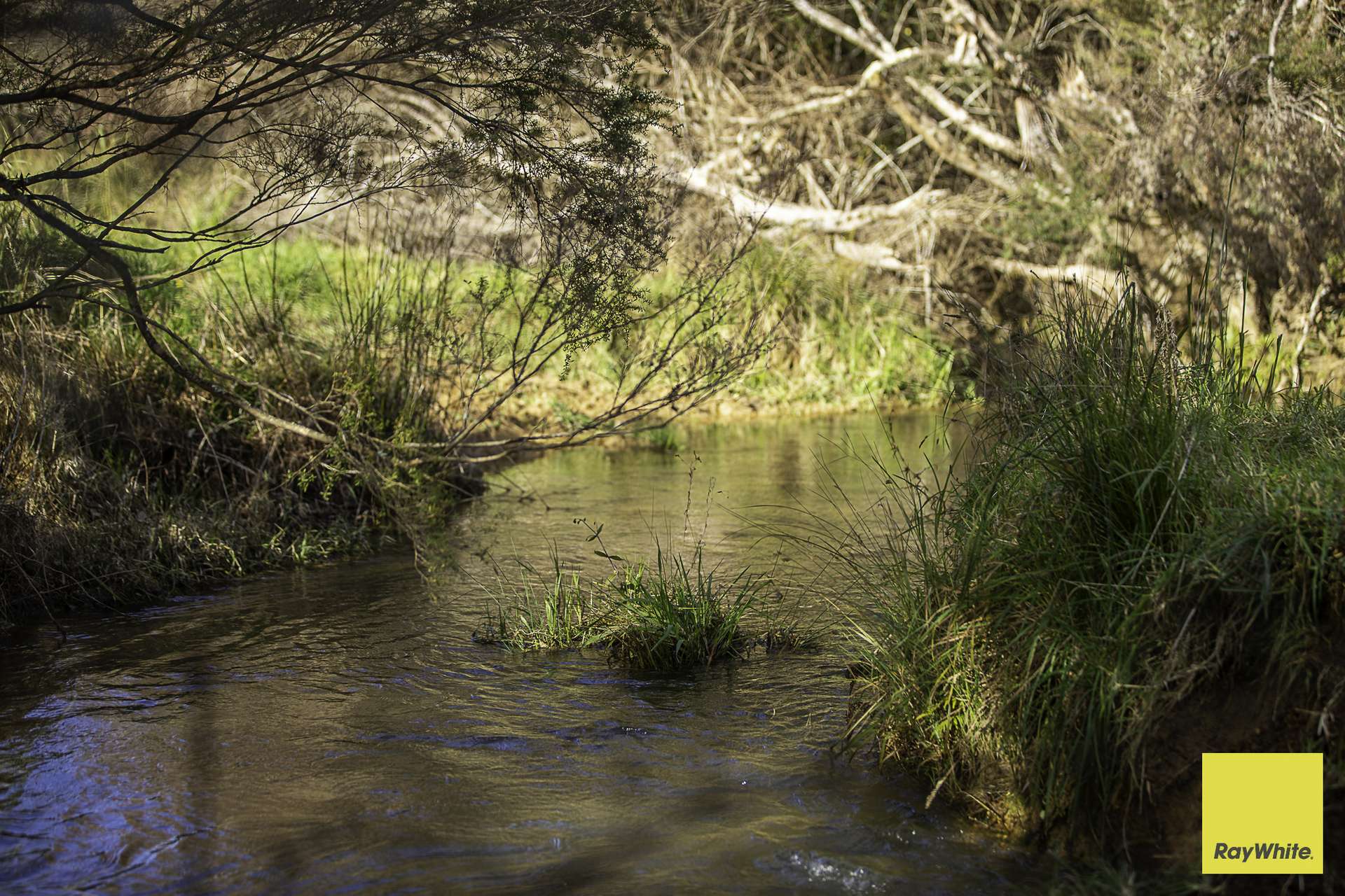 511 Whisky Creek Road, Dorrigo For Sale by Farmbuy.com - image 22