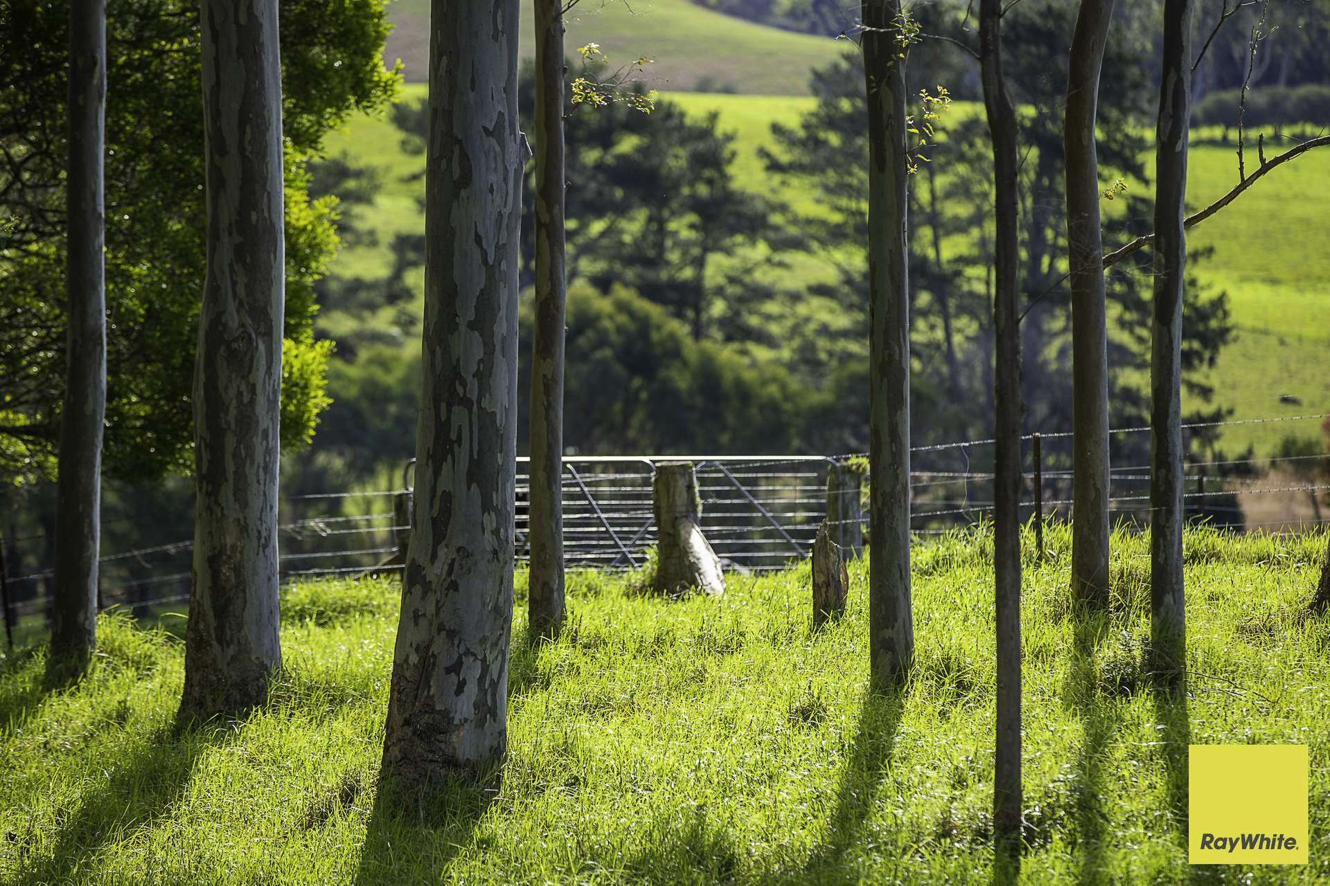 511 Whisky Creek Road, Dorrigo For Sale by Farmbuy.com - image 24