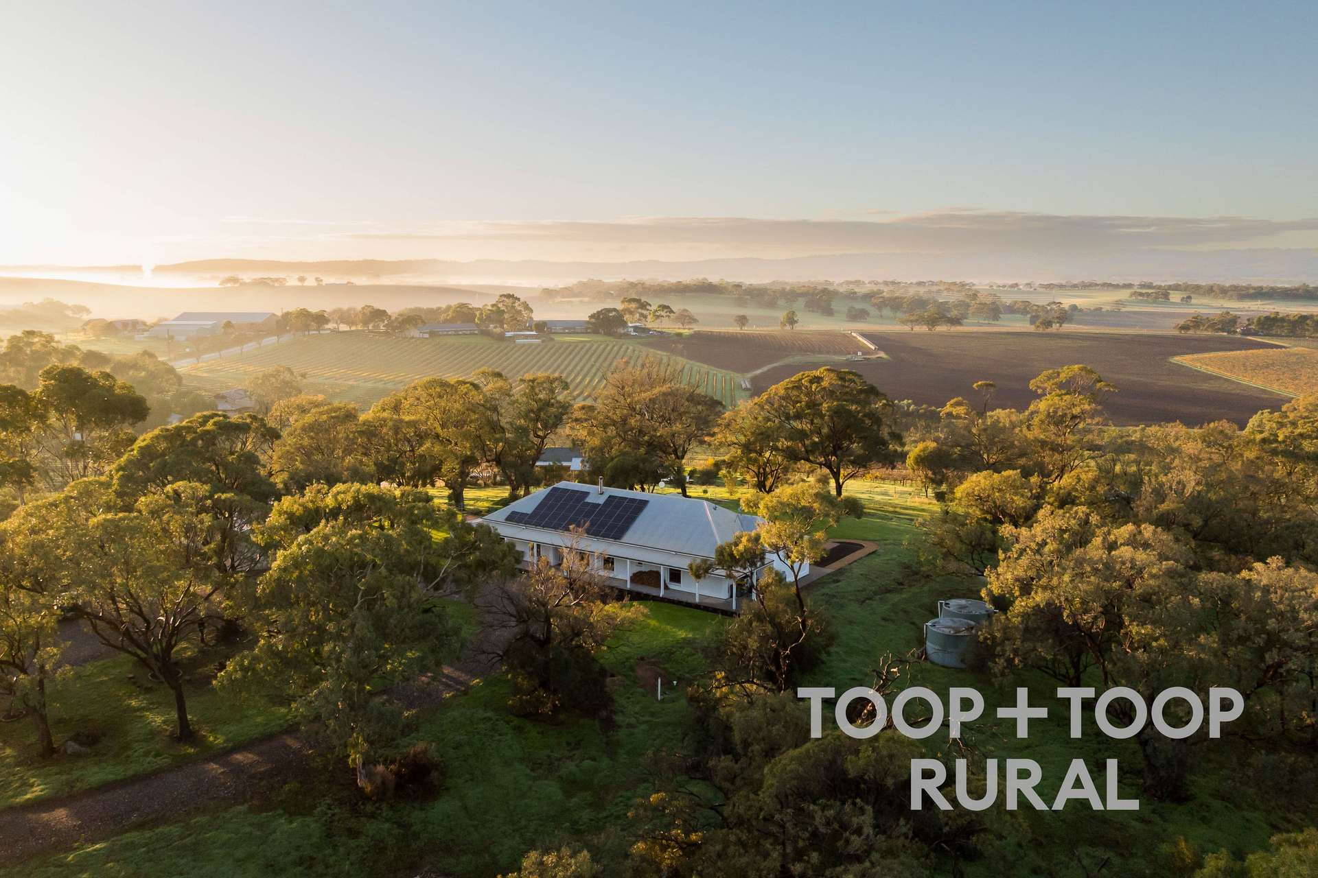 429 Seppeltsfield Road, Marananga For Sale by Farmbuy.com - image 29