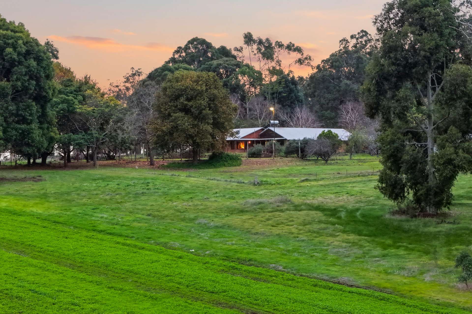244 Ring Bark Road (Ringbark), Manjimup For Sale by Farmbuy.com - image 29