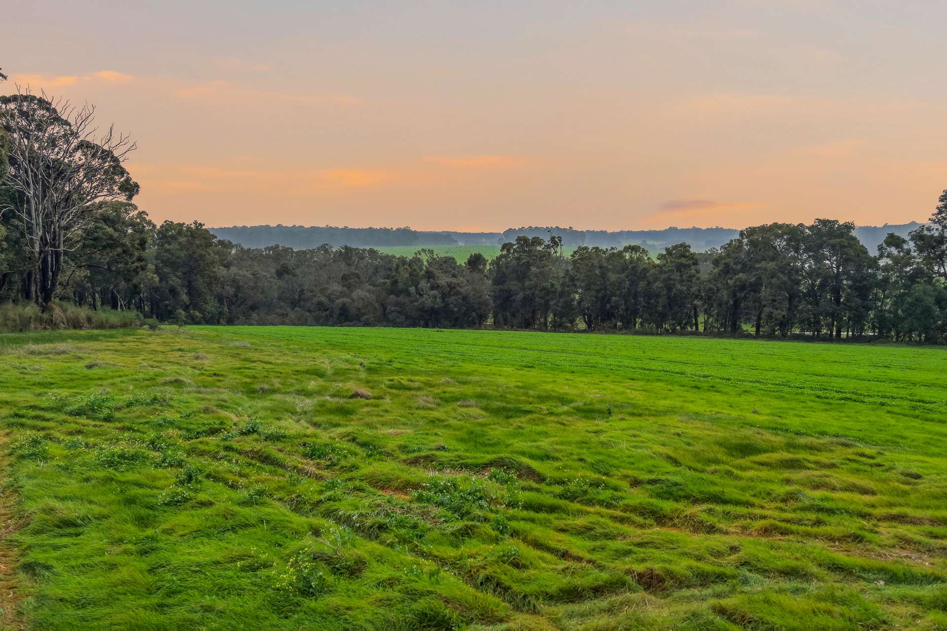 244 Ring Bark Road (Ringbark), Manjimup For Sale by Farmbuy.com - image 30