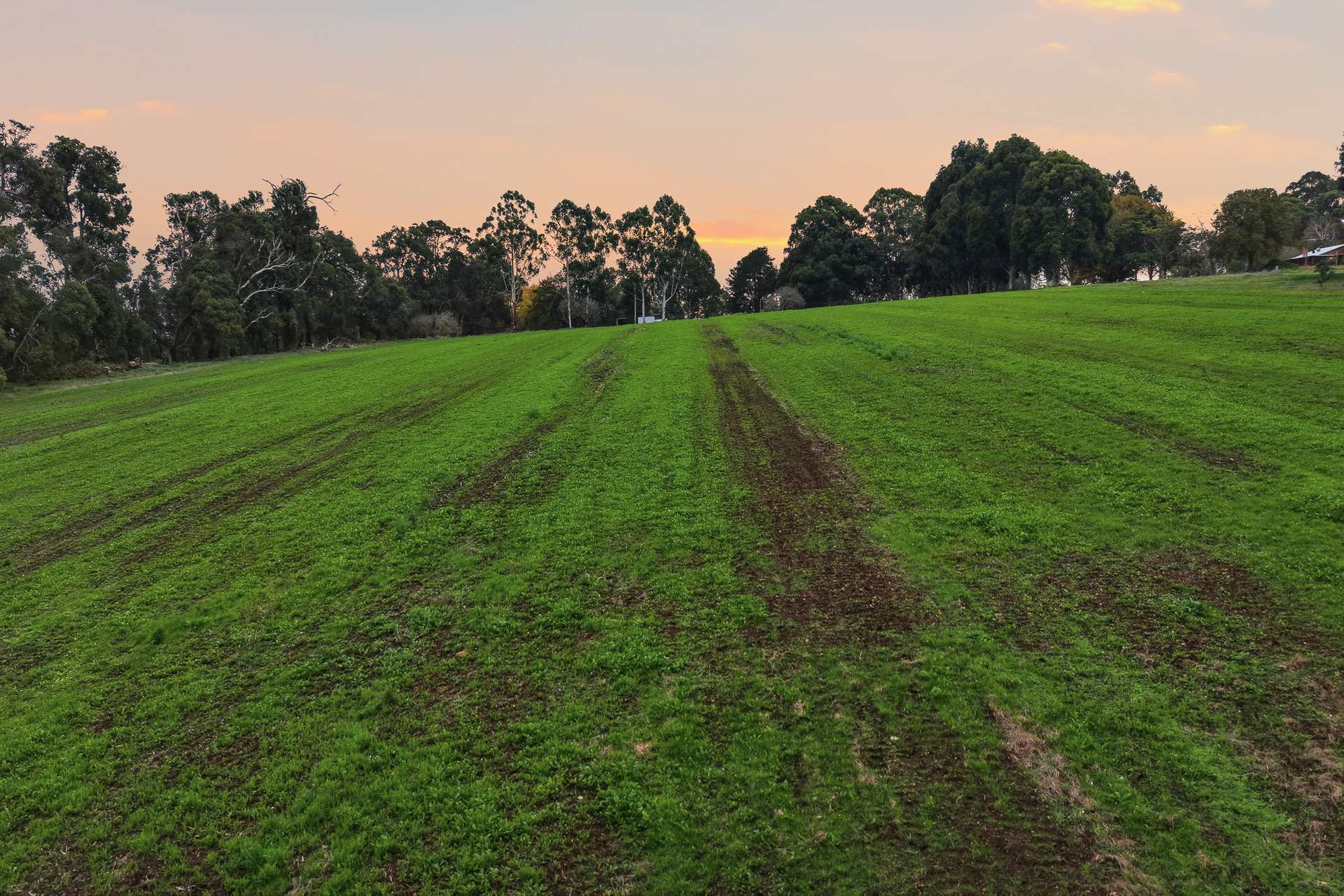 244 Ring Bark Road (Ringbark), Manjimup For Sale by Farmbuy.com - image 31