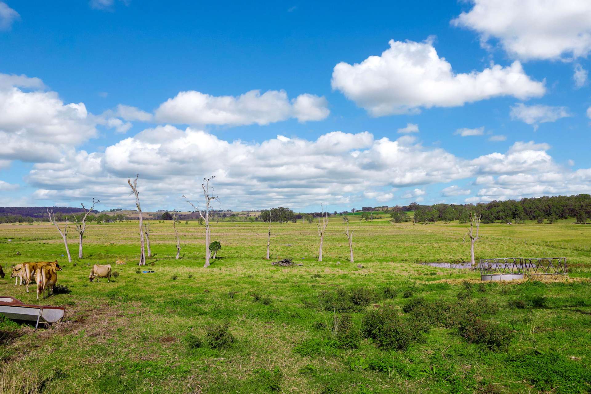 431 Knights Road, Doubtful Creek For Sale by Farmbuy.com - image 35