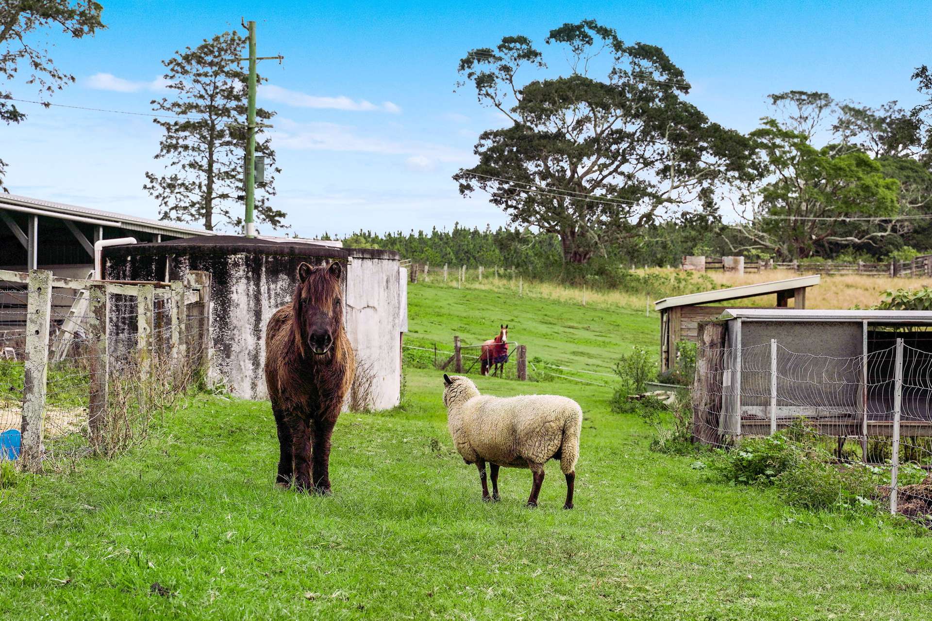 431 Knights Road, Doubtful Creek For Sale by Farmbuy.com - image 26