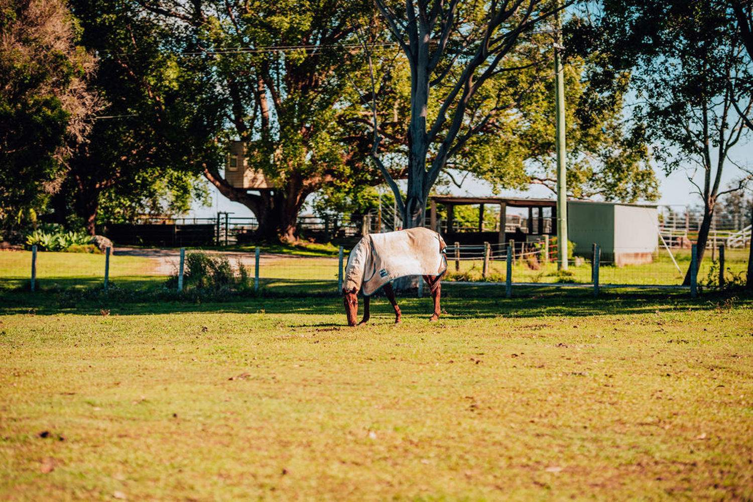 955 Woodburn Coraki Road, Woodburn For Sale by Farmbuy.com - image 18