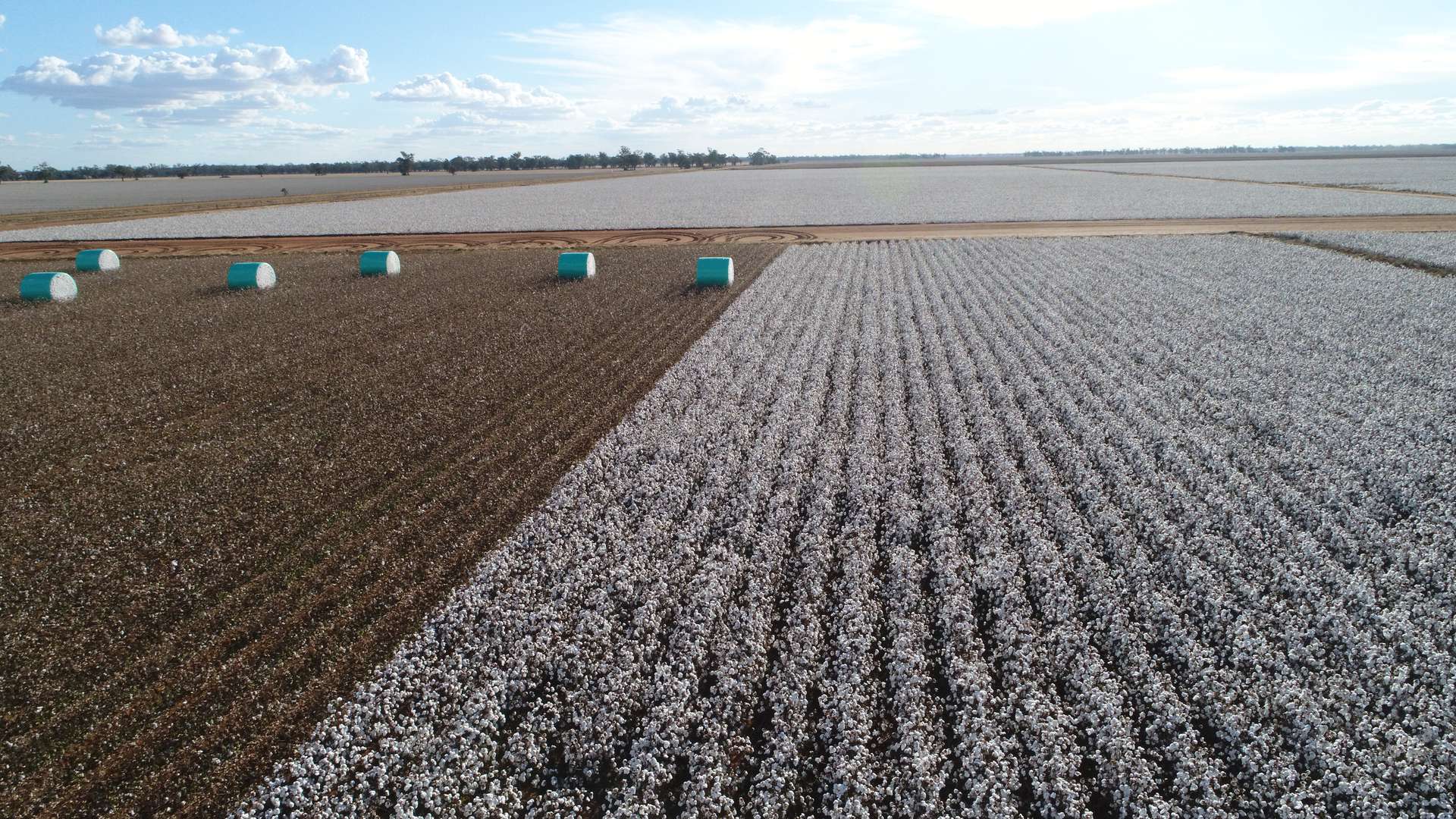 Narromine Tender by Farmbuy.com - image 19
