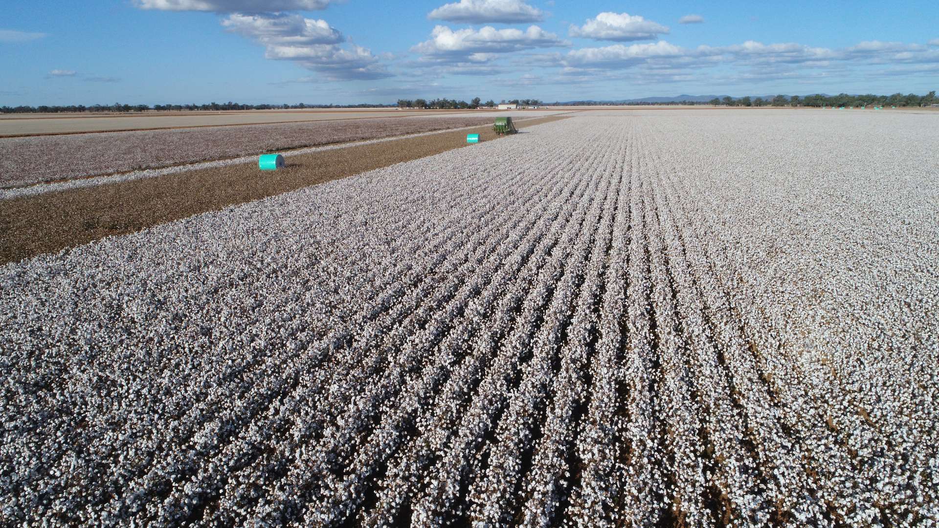Narromine Tender by Farmbuy.com - image 18