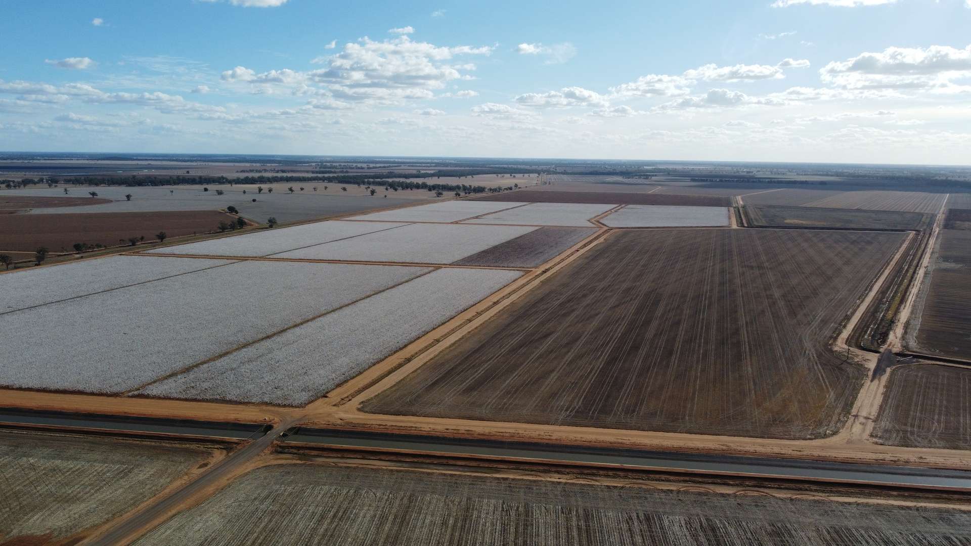 Narromine Tender by Farmbuy.com - image 7