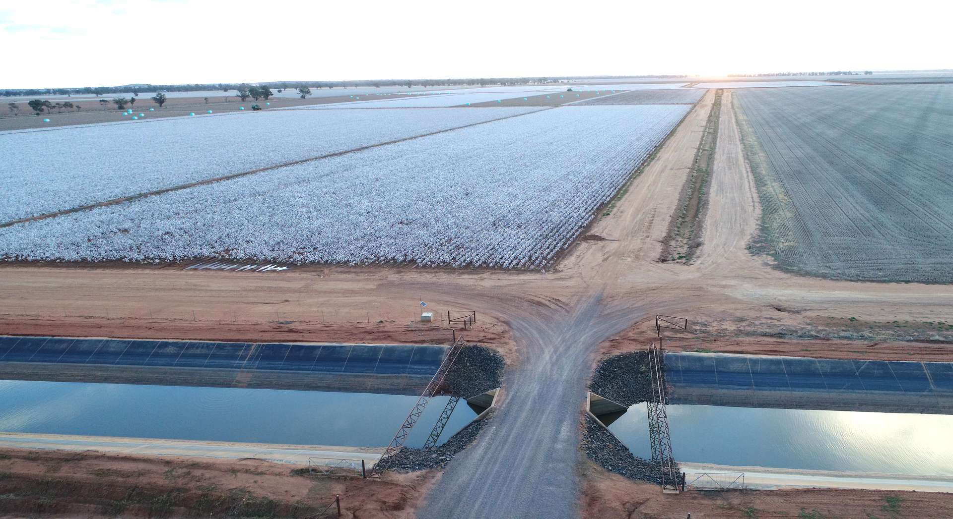 Narromine Tender by Farmbuy.com - image 3