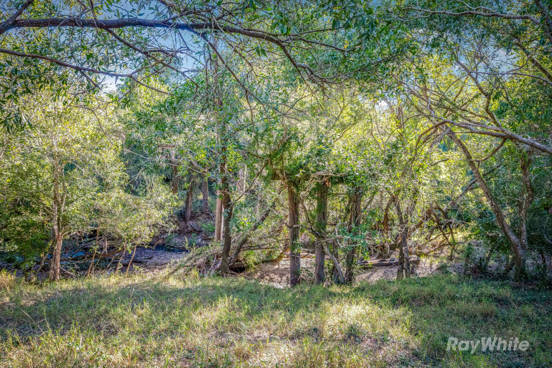 Lot 2,  Ferry Hills Road, Wallaville For Sale by Farmbuy.com - image 18