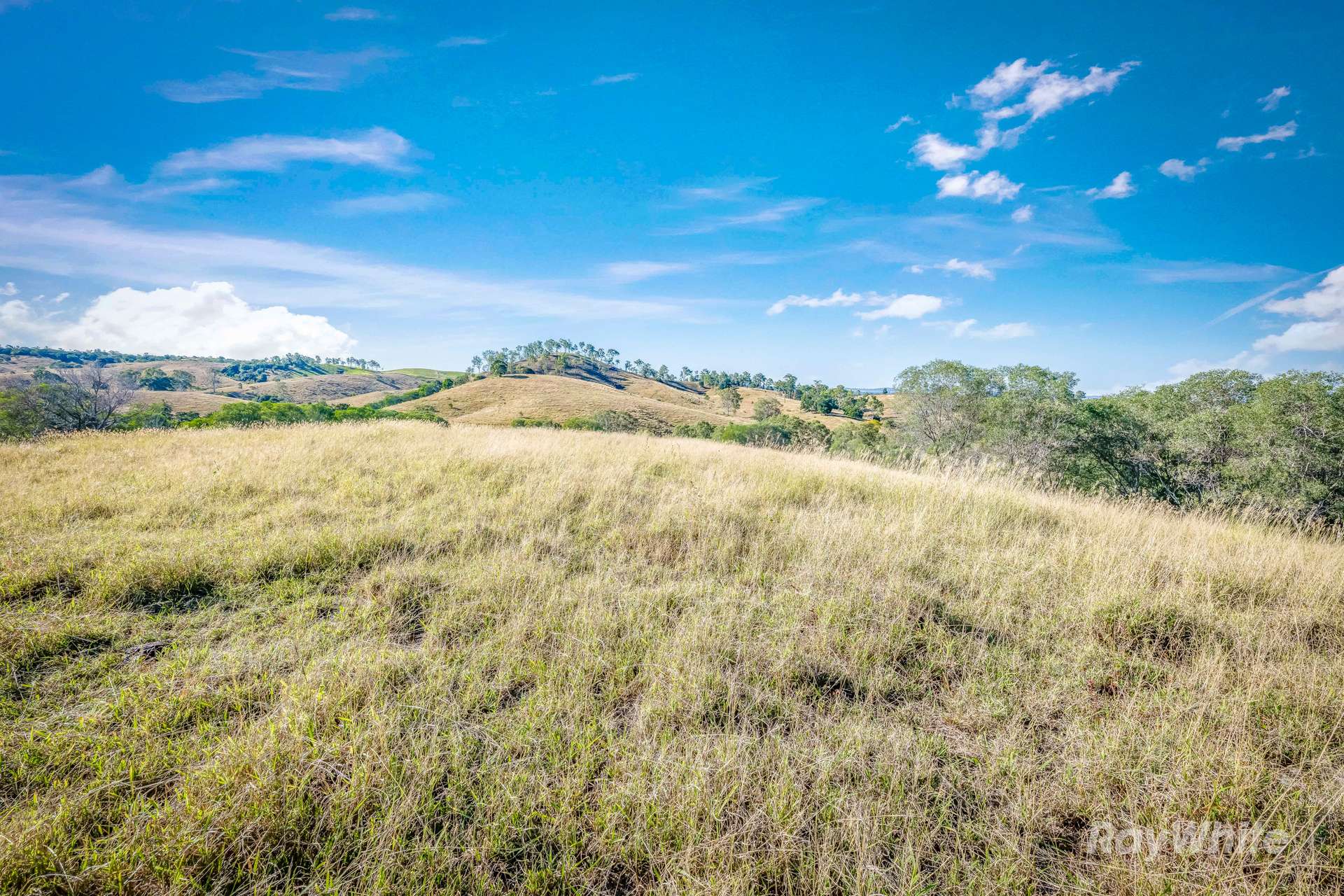 Lot 2,  Ferry Hills Road, Wallaville For Sale by Farmbuy.com - image 8
