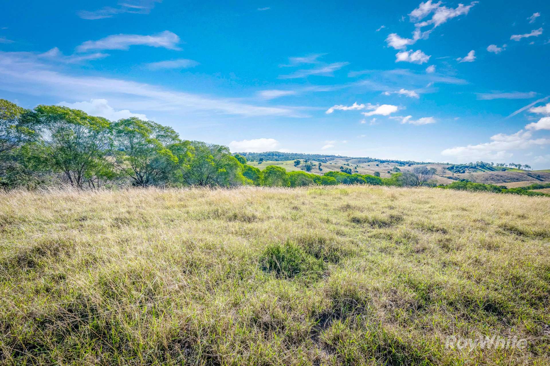 Lot 2,  Ferry Hills Road, Wallaville For Sale by Farmbuy.com - image 9
