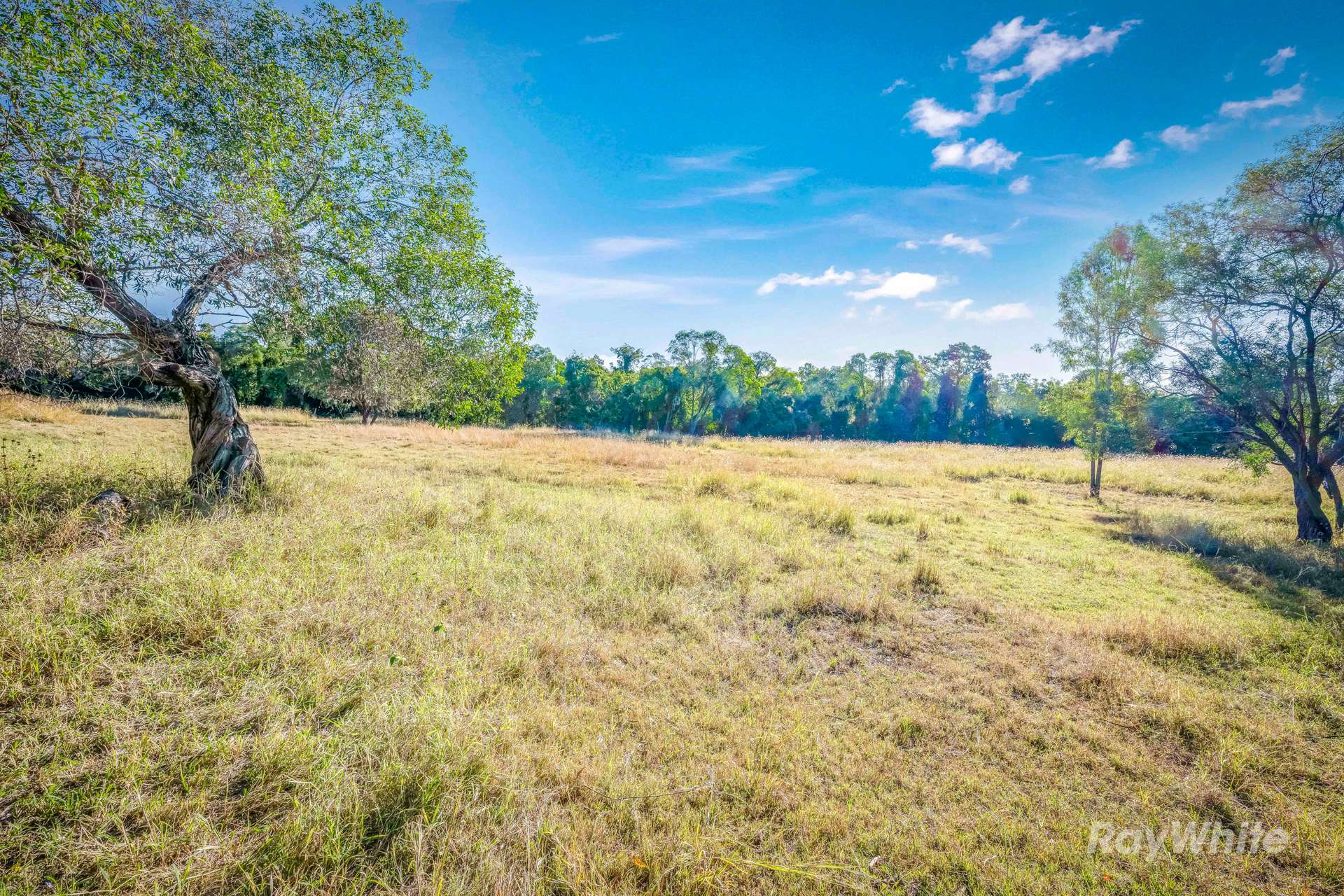 Lot 2,  Ferry Hills Road, Wallaville For Sale by Farmbuy.com - image 7