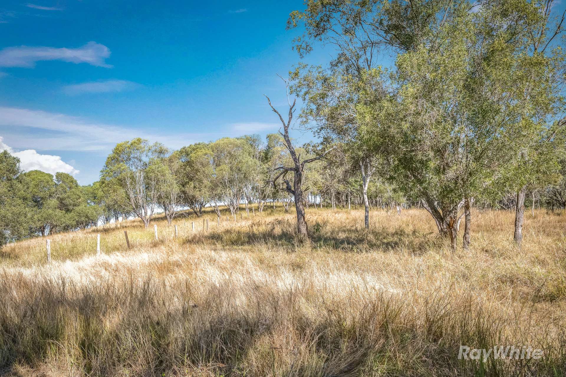 Lot 2,  Ferry Hills Road, Wallaville For Sale by Farmbuy.com - image 2