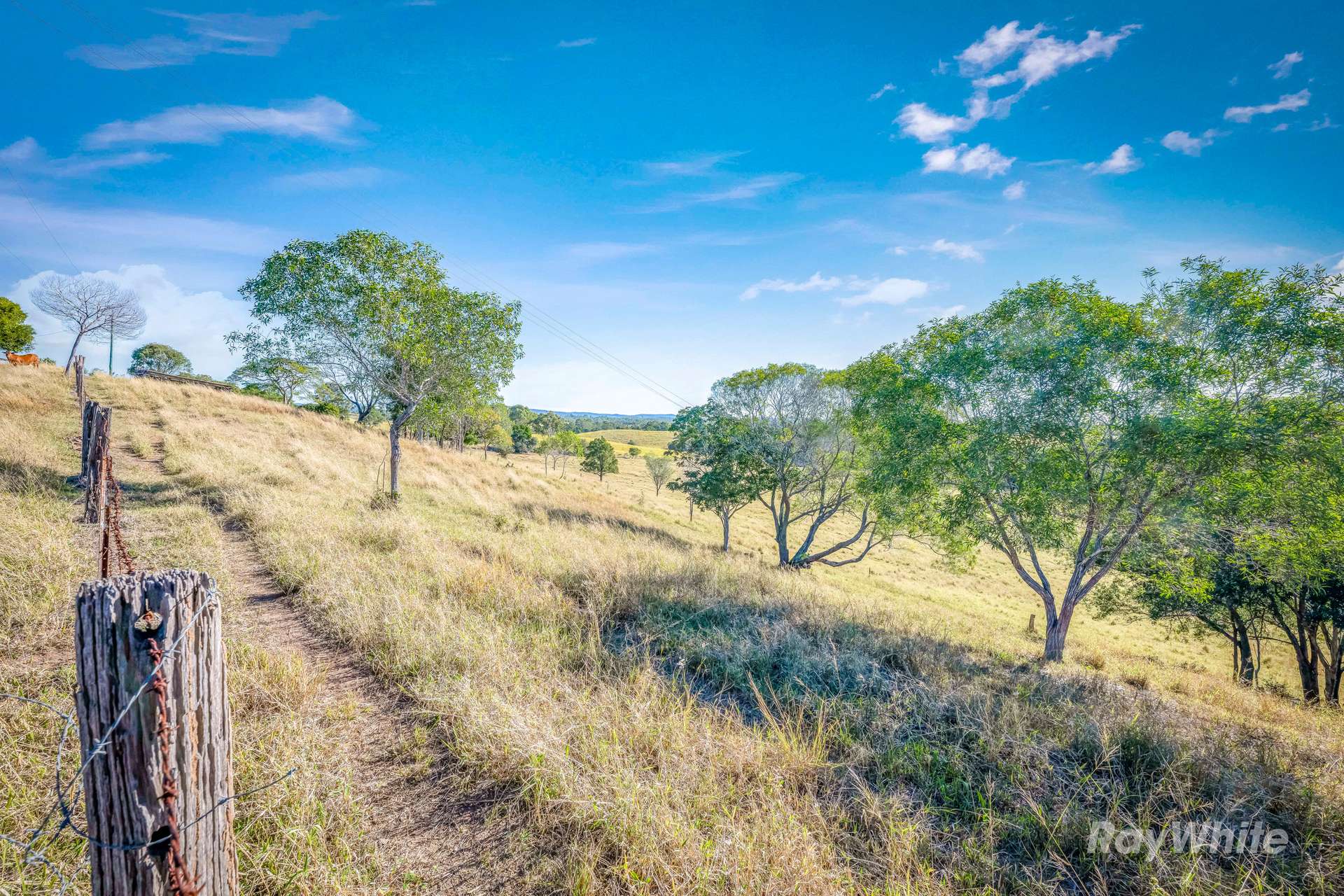 Lot 2,  Ferry Hills Road, Wallaville For Sale by Farmbuy.com - image 12