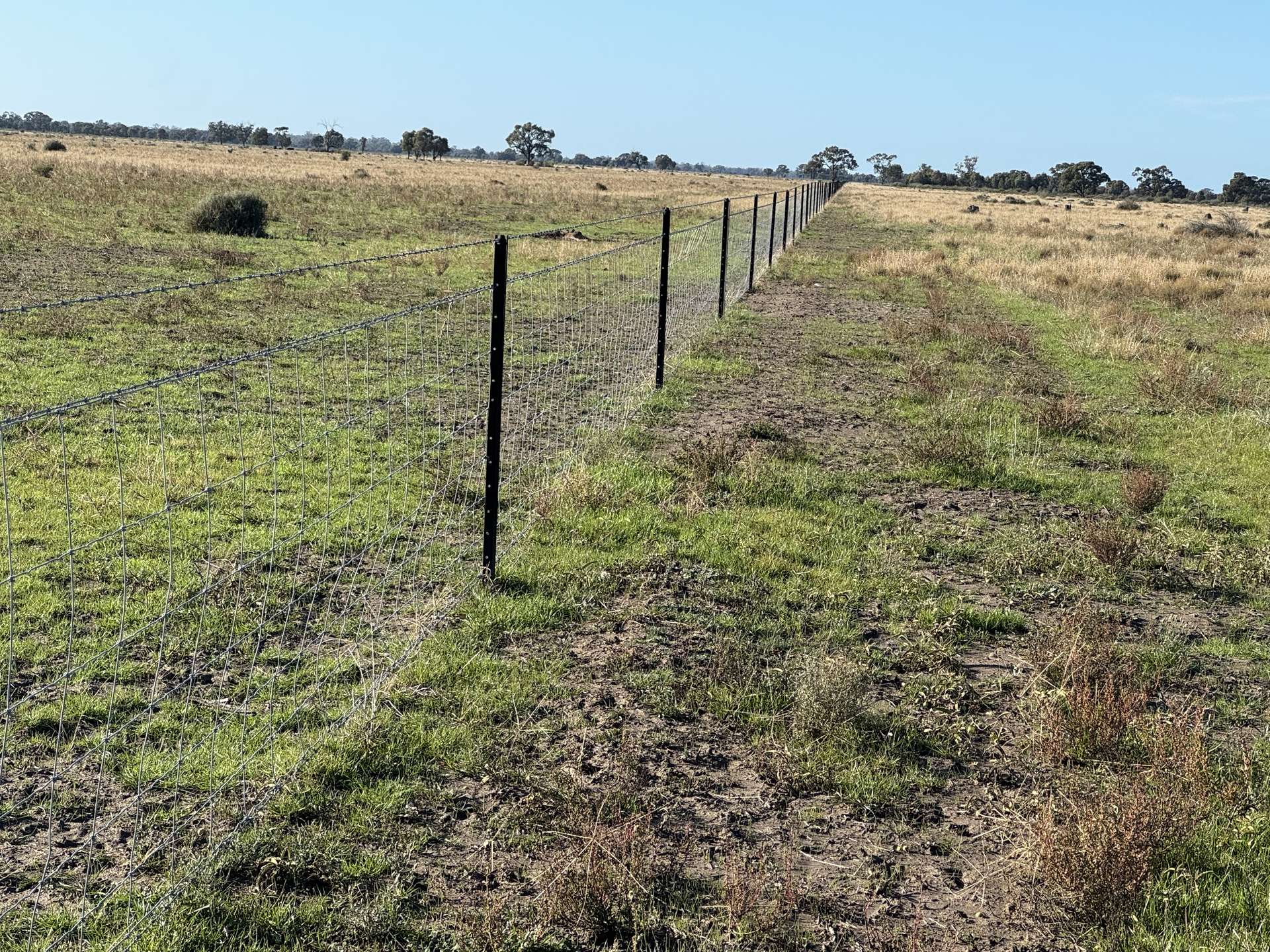 1500 Murrabit-Swan Hill Road, Gonn For Sale by Farmbuy.com - image 5
