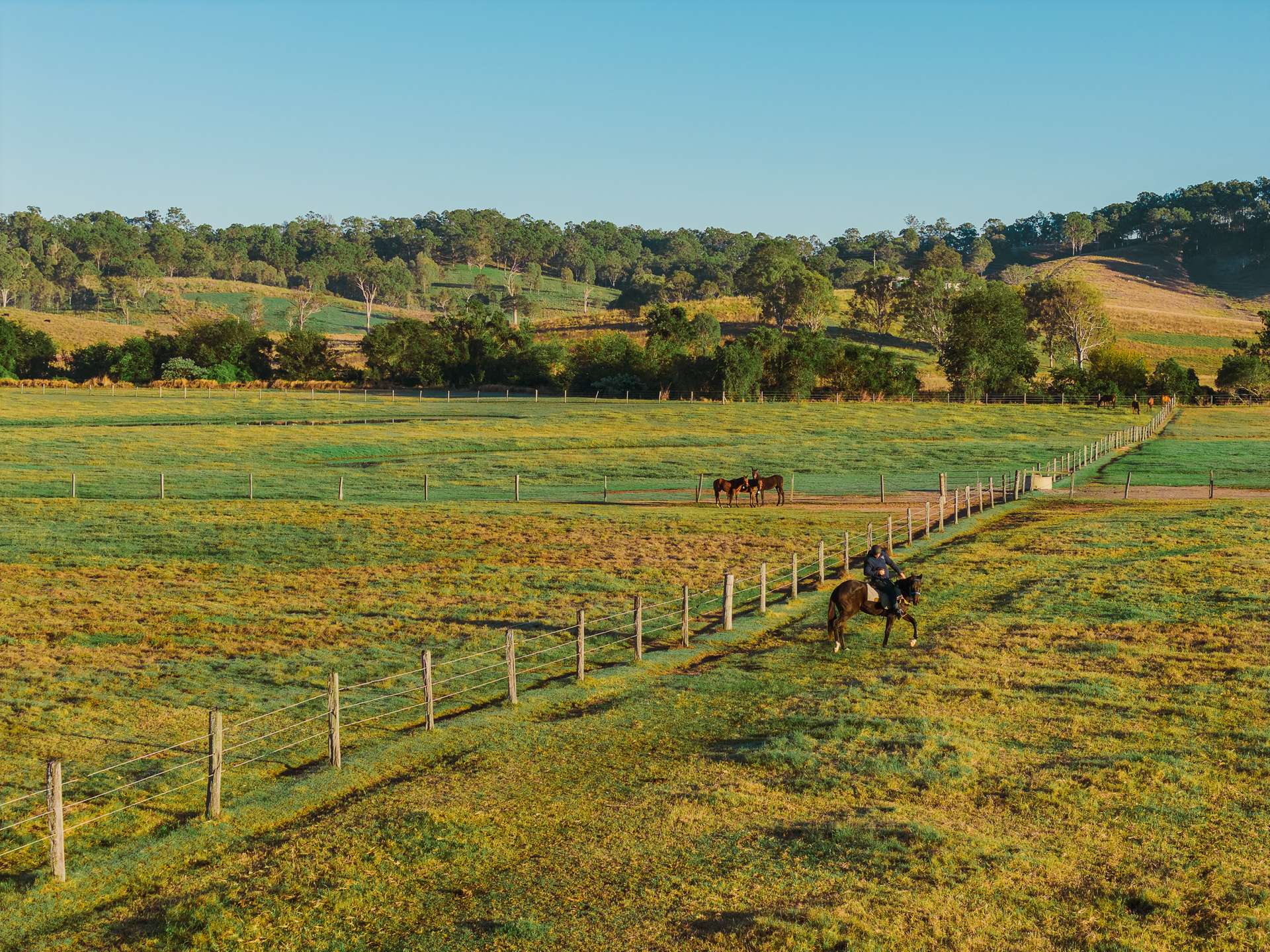 3272 Beaudesert Nerang Road, Biddaddaba For Sale by Farmbuy.com - image 20