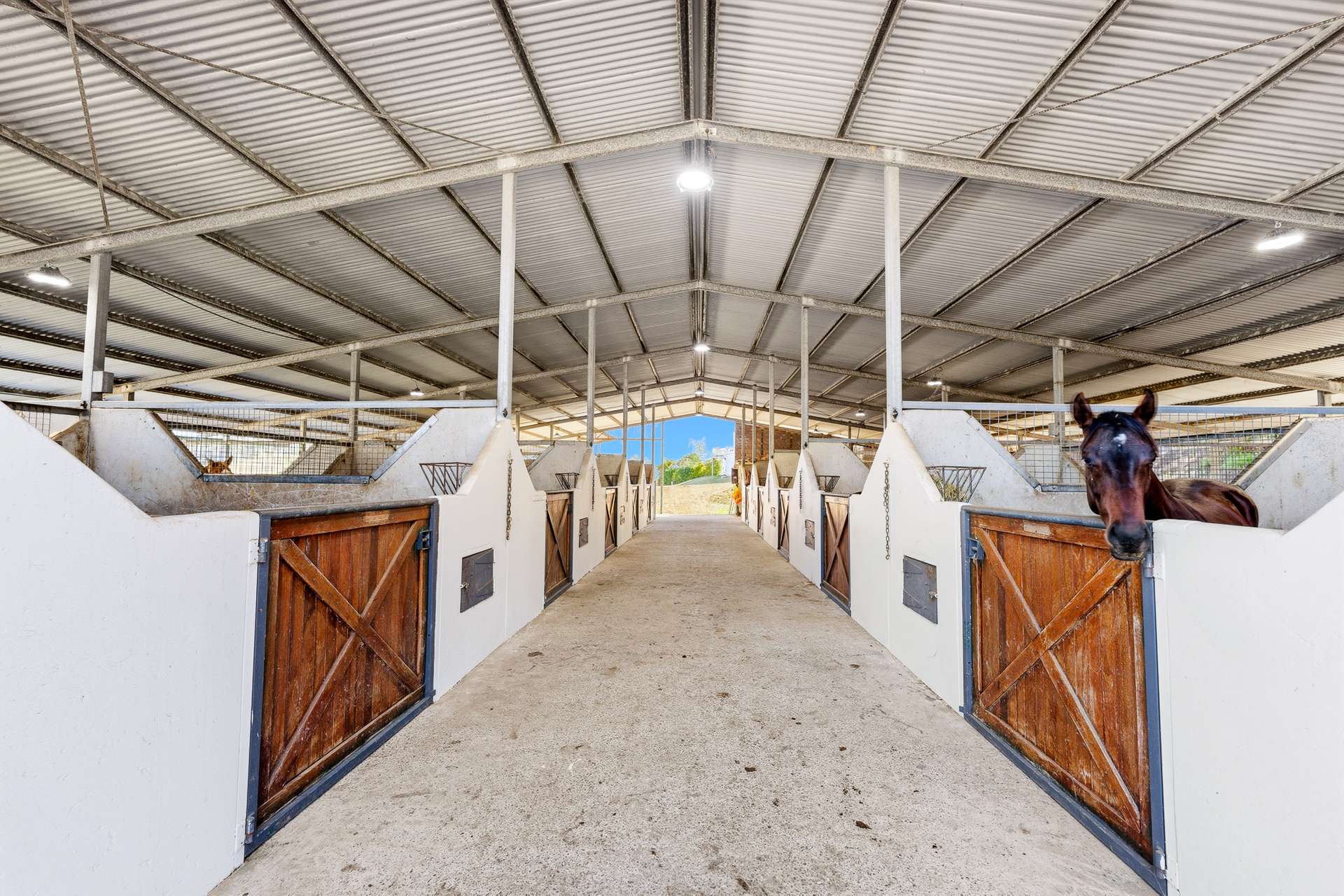 3272 Beaudesert Nerang Road, Biddaddaba For Sale by Farmbuy.com - image 4